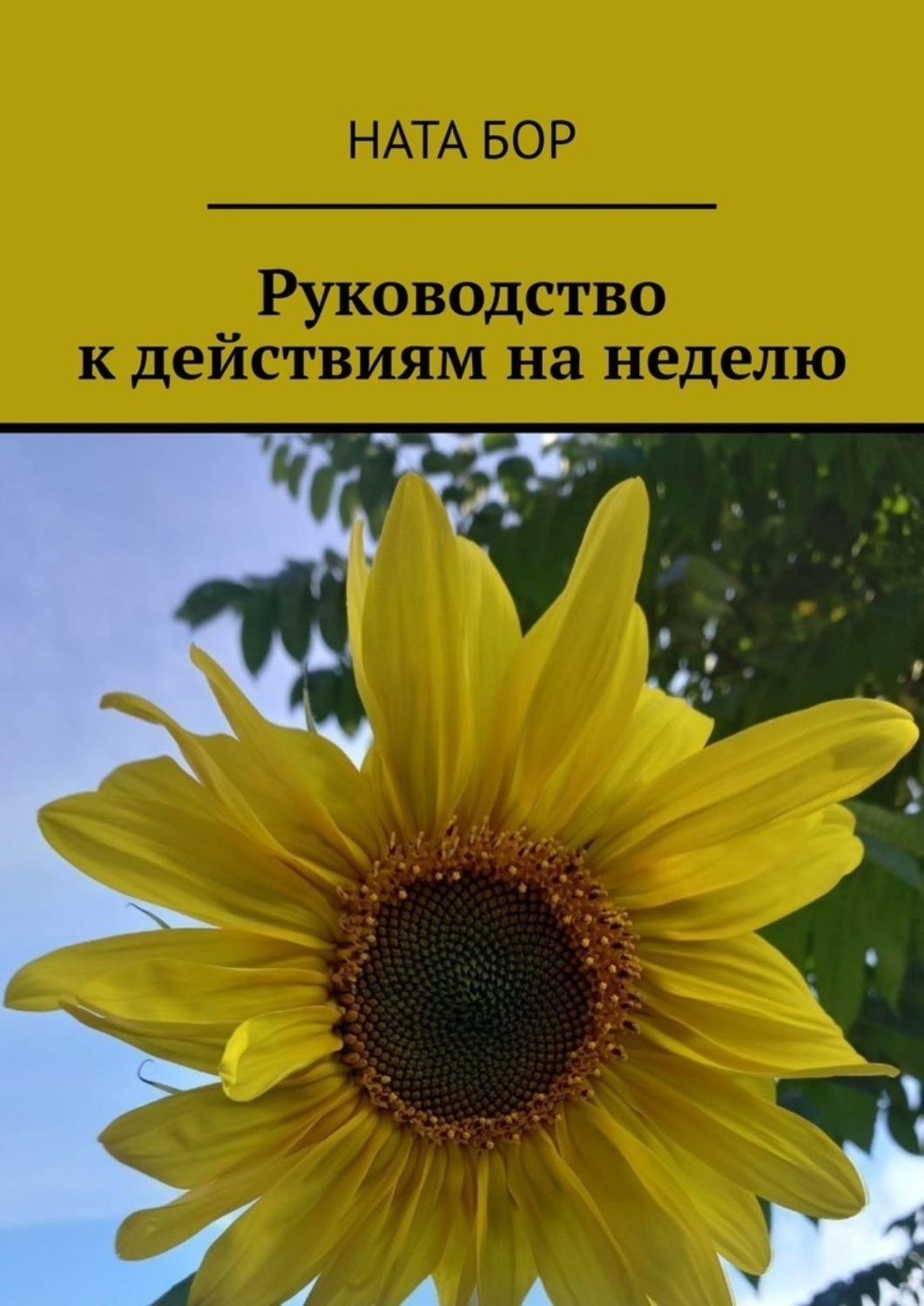 Обложка книги «Руководство к действиям на неделю»