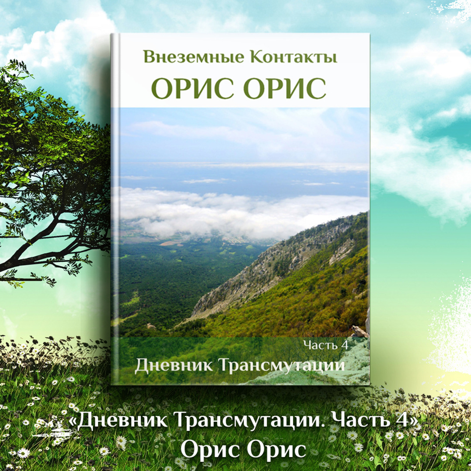 Обложка книги «Дневник Трансмутации. Часть 4»