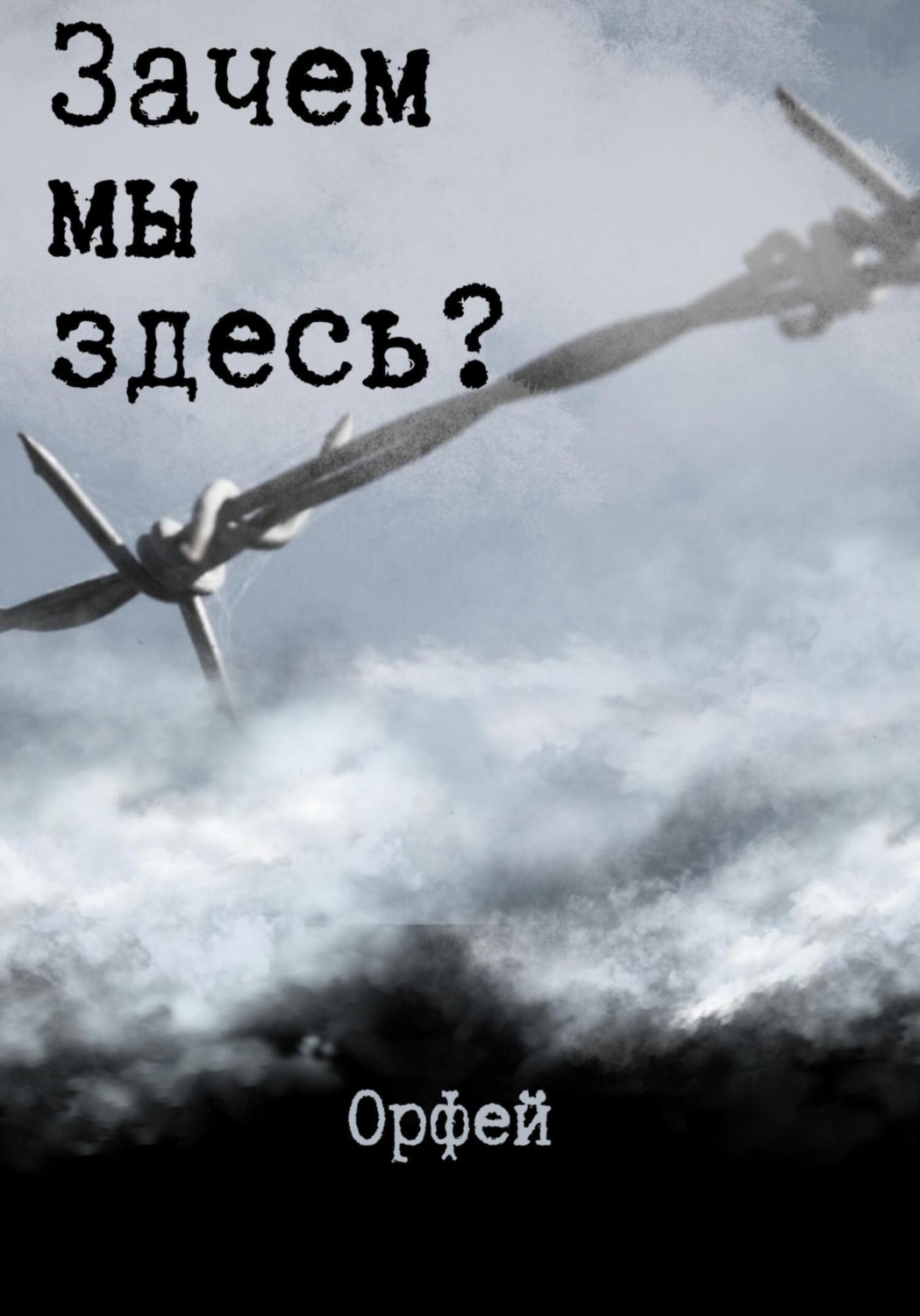 Обложка книги «Зачем мы здесь?»