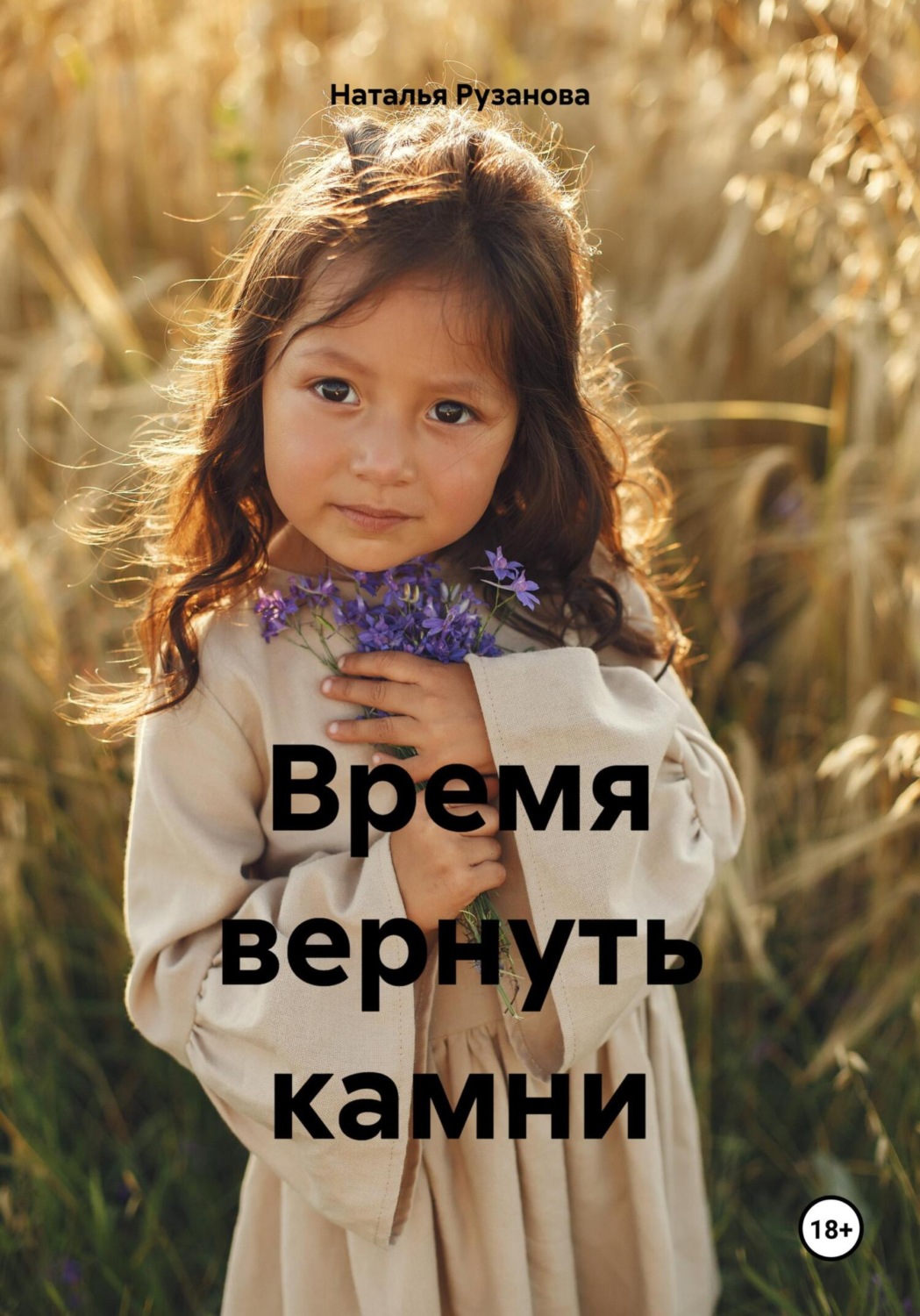 Обложка книги «Время вернуть камни»