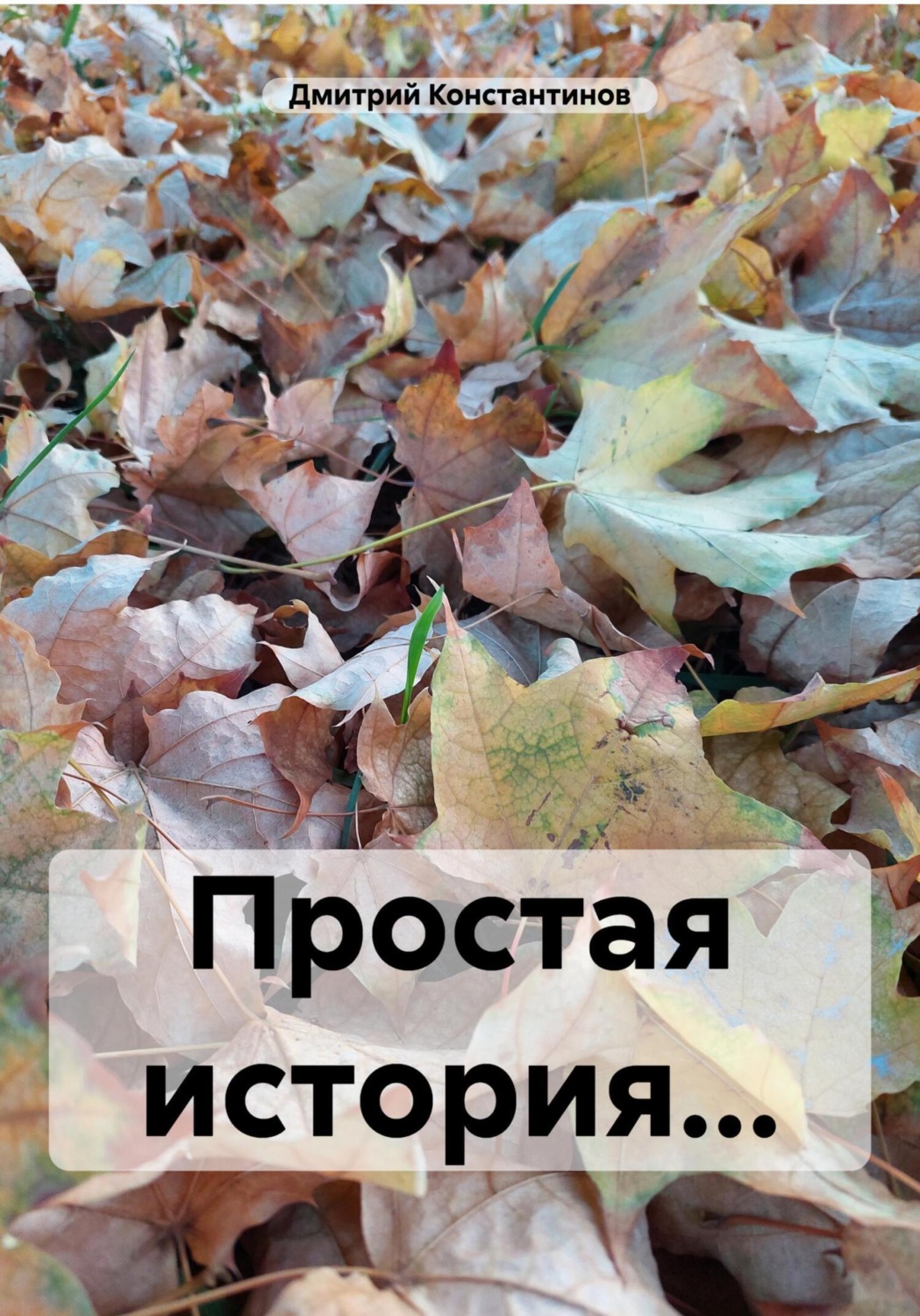 Обложка книги «Простая история…»