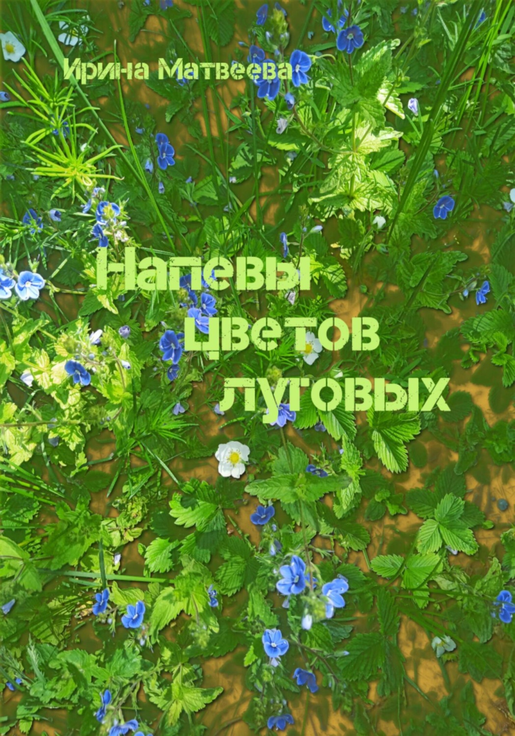 Обложка книги «Напевы цветов луговых»