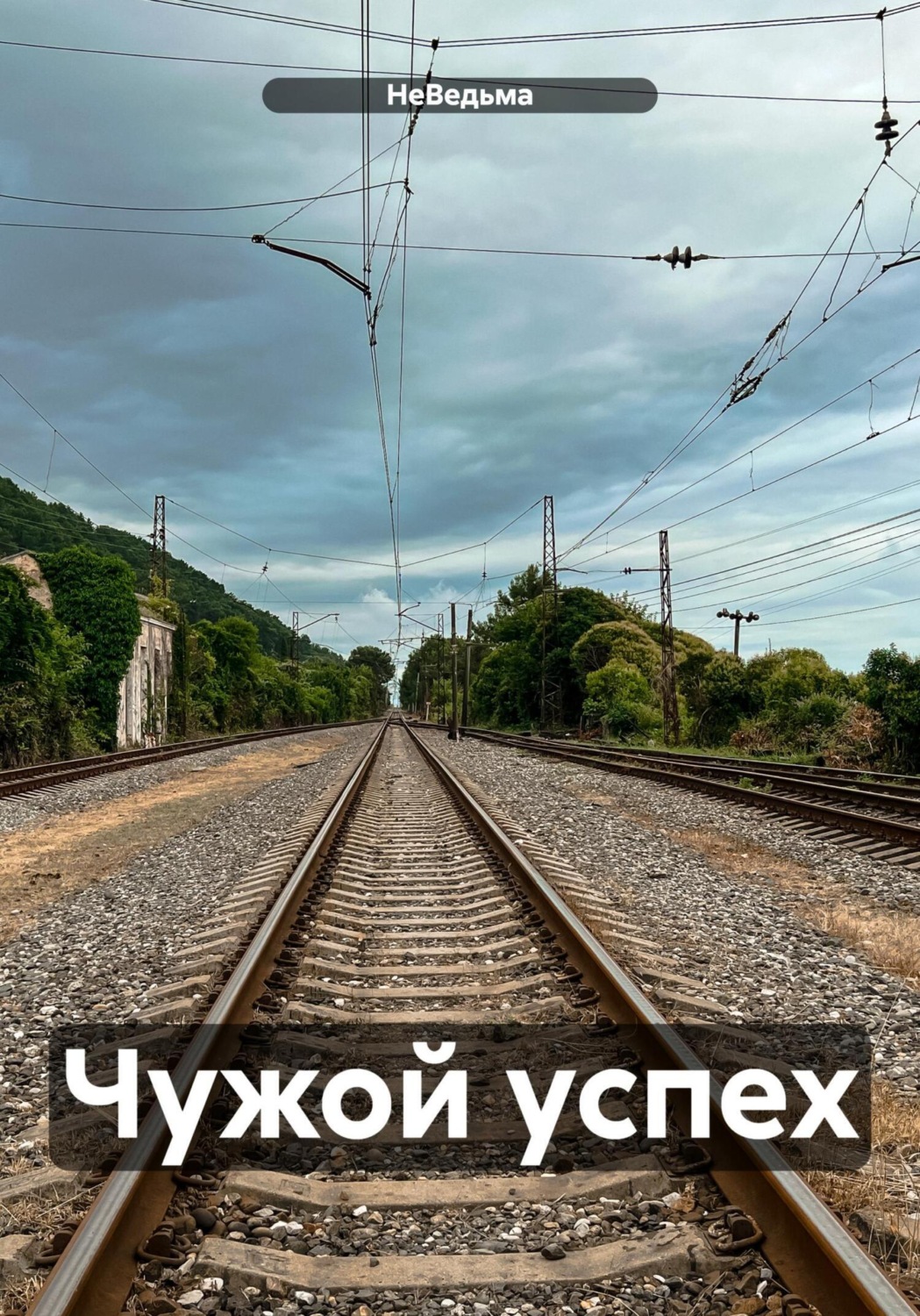 Обложка книги «Чужой успех»
