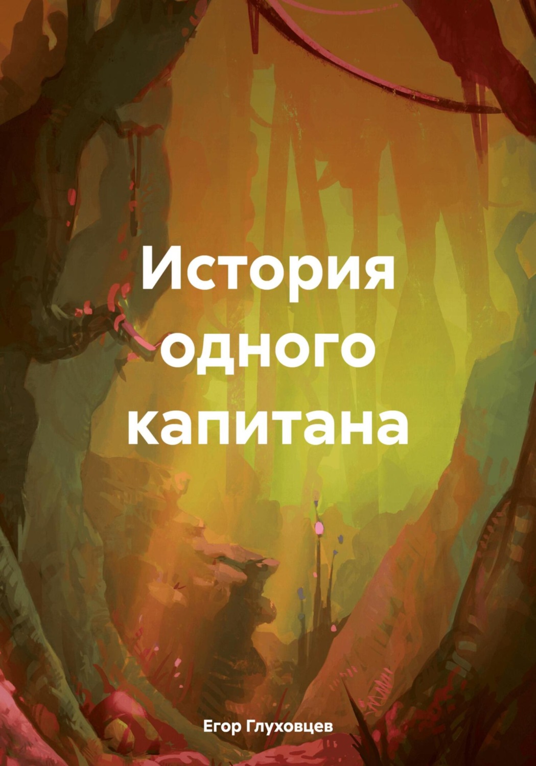 Обложка книги «История одного капитана»