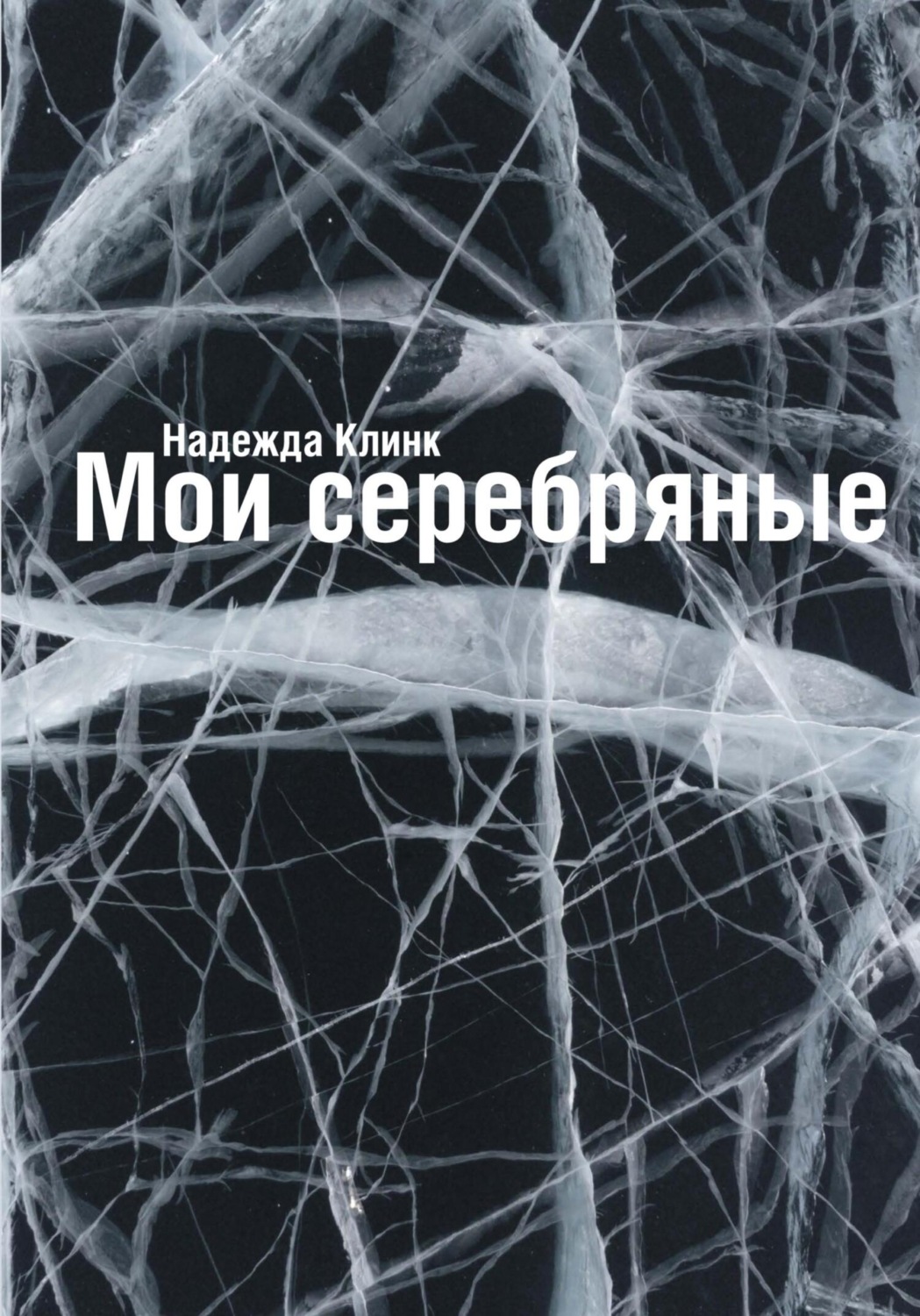 Обложка книги «Мои серебряные»