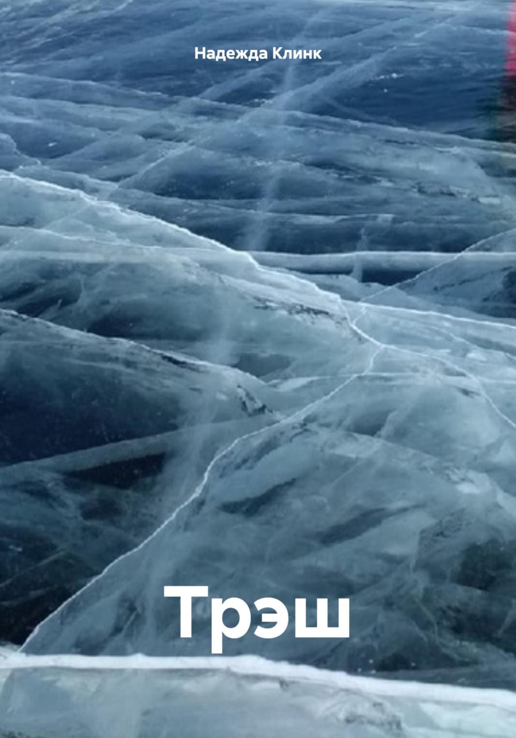Обложка книги «Трэш»