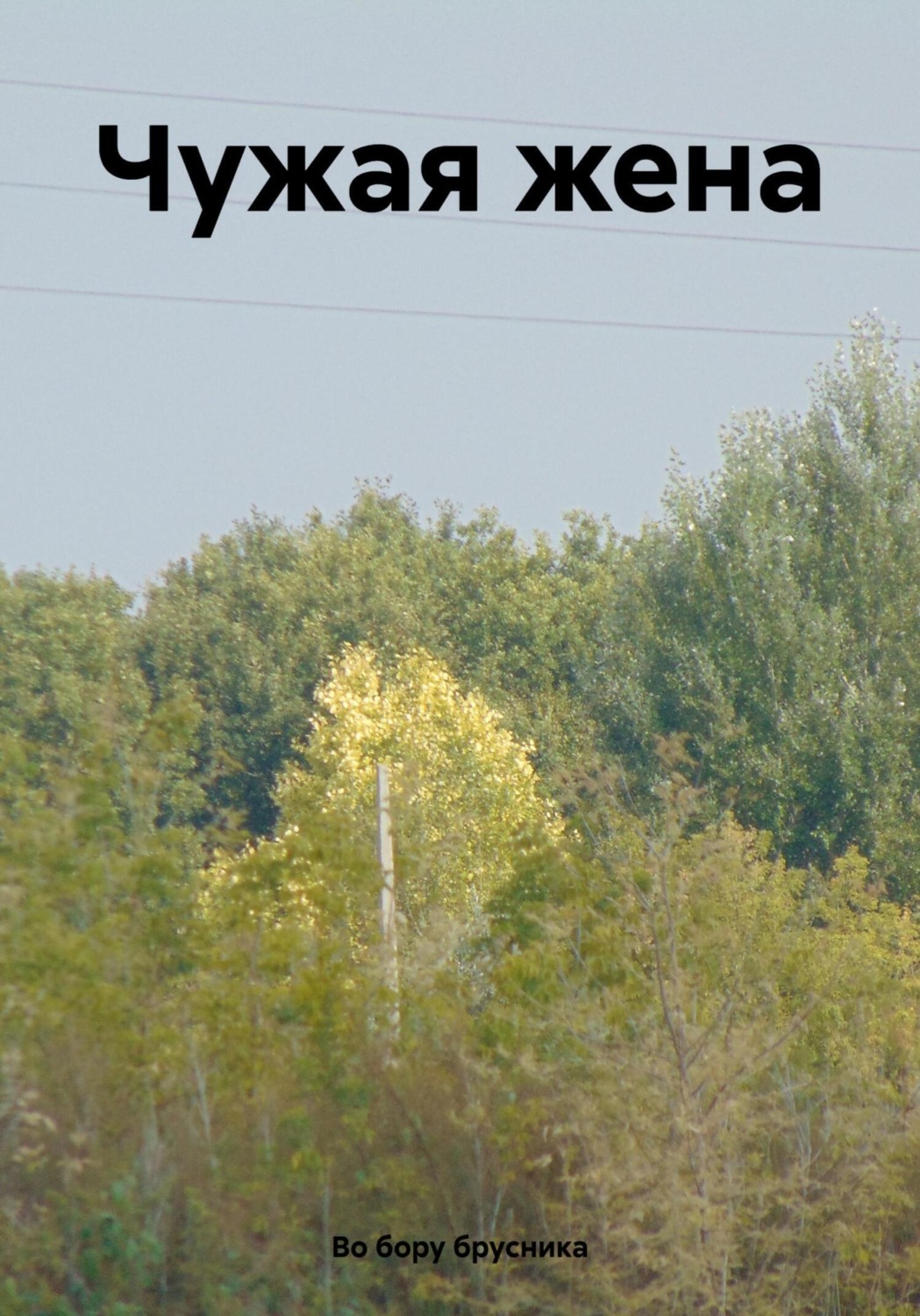 Обложка книги «Чужая жена»