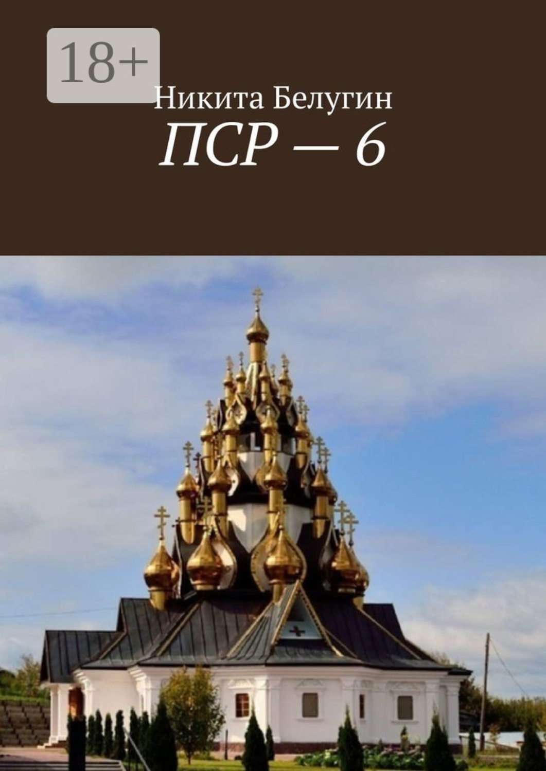 Обложка книги «ПСР – 6»