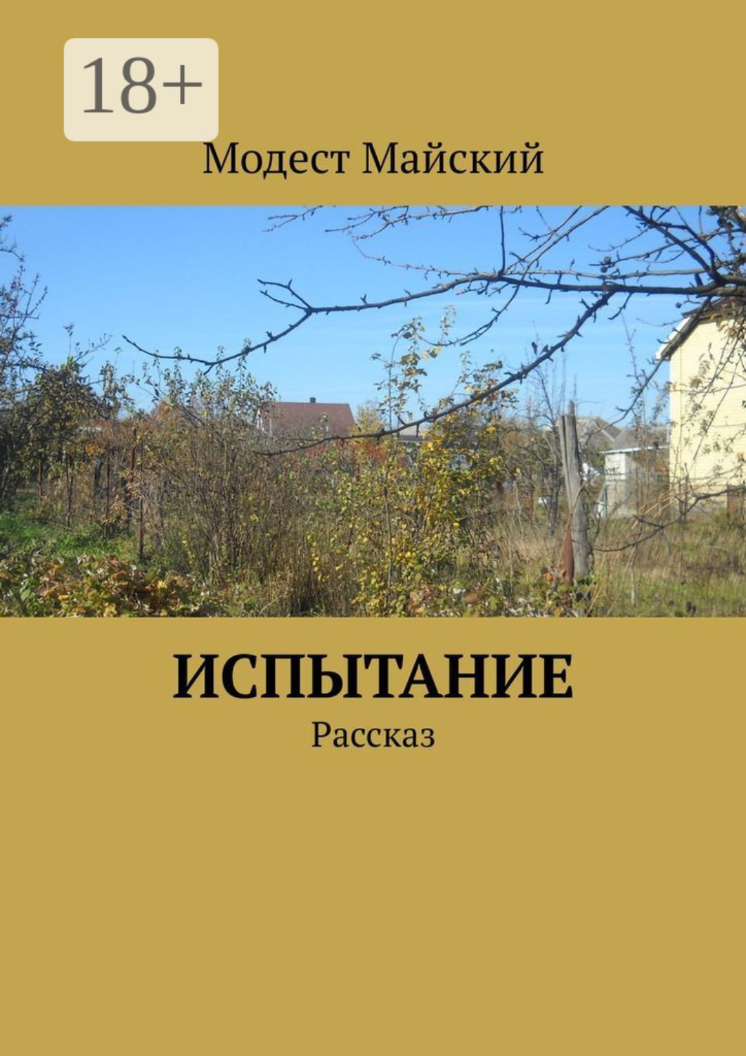 Обложка книги «Испытание. Рассказ»