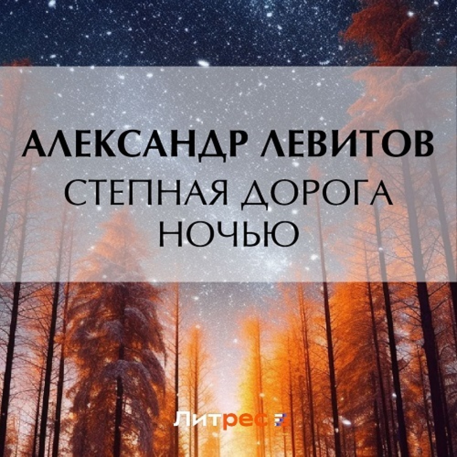 Обложка книги «Степная дорога ночью»