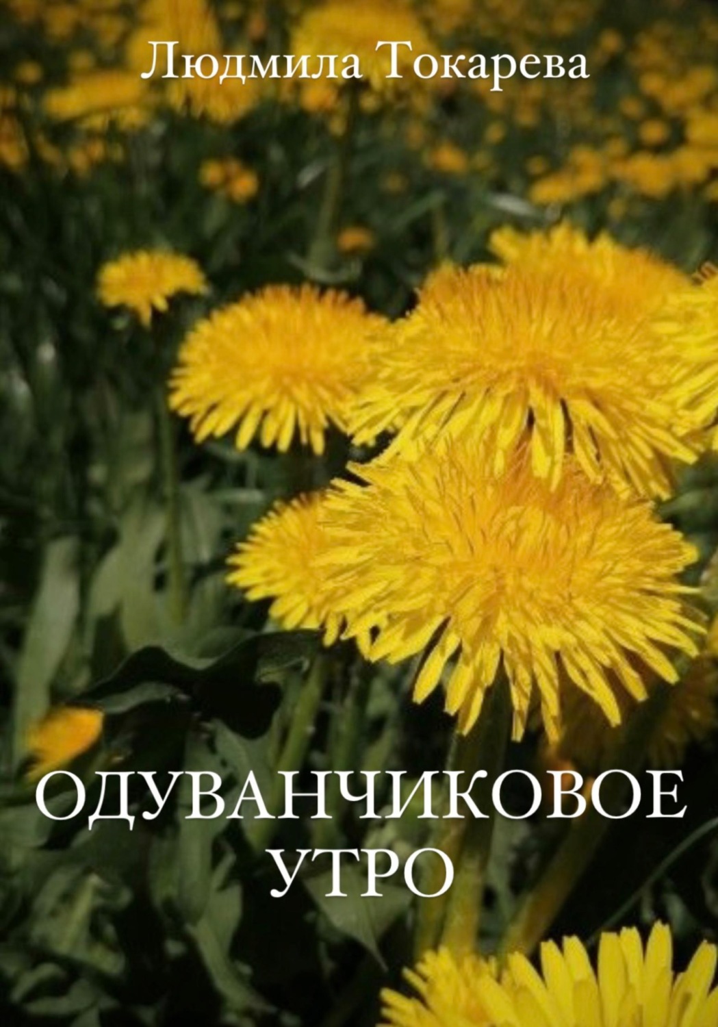 Обложка книги «Одуванчиковое утро»
