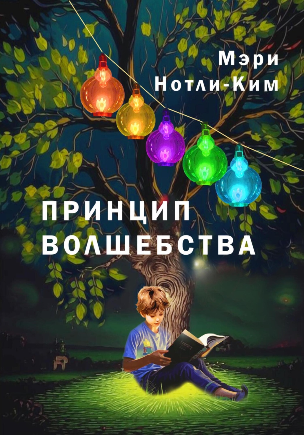 Обложка книги «Принцип волшебства»