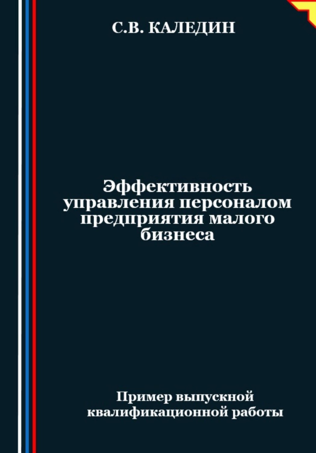 Обложка книги «Эффективность управления персоналом предприятия малого бизнеса»