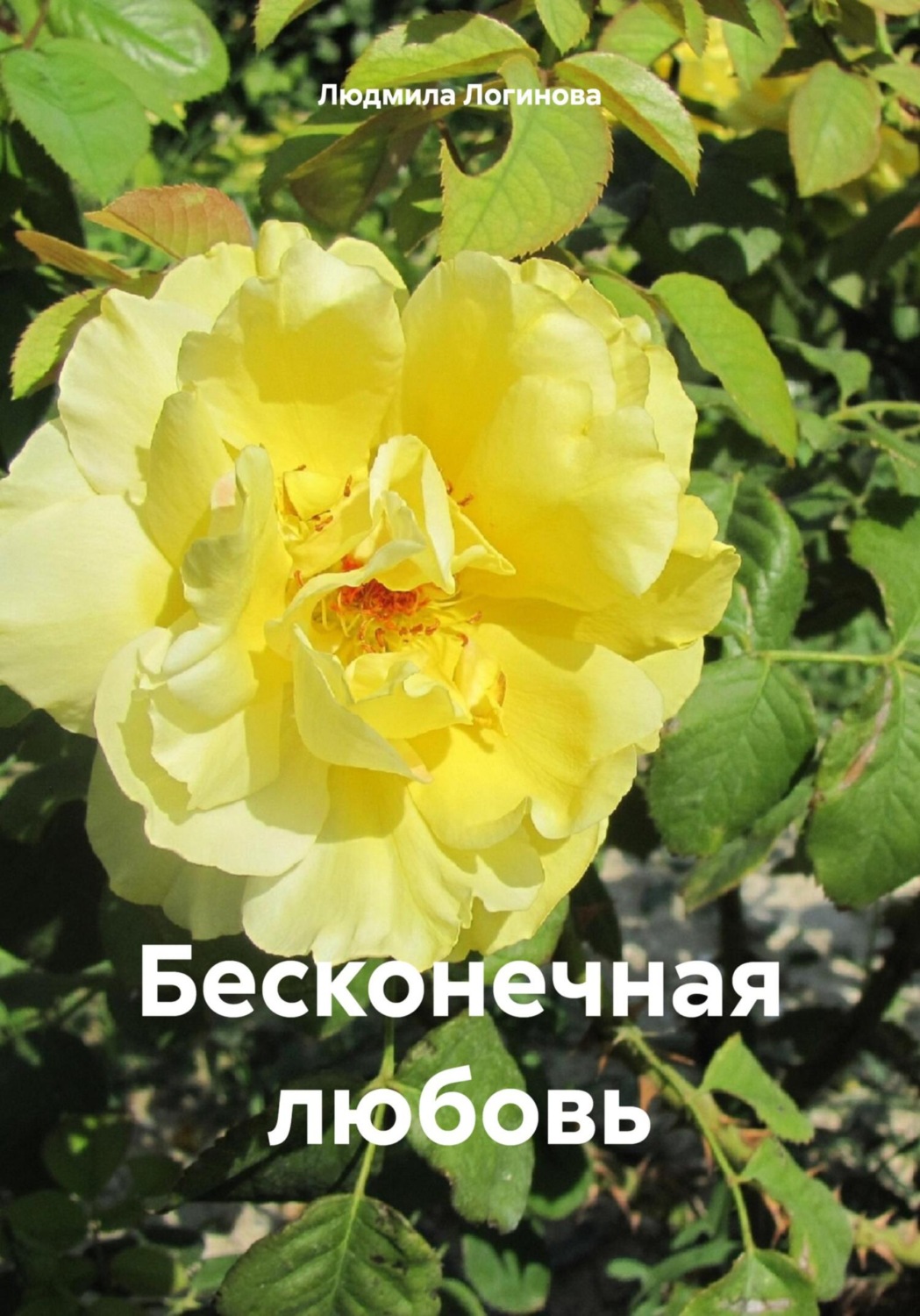 Обложка книги «Бесконечная любовь»