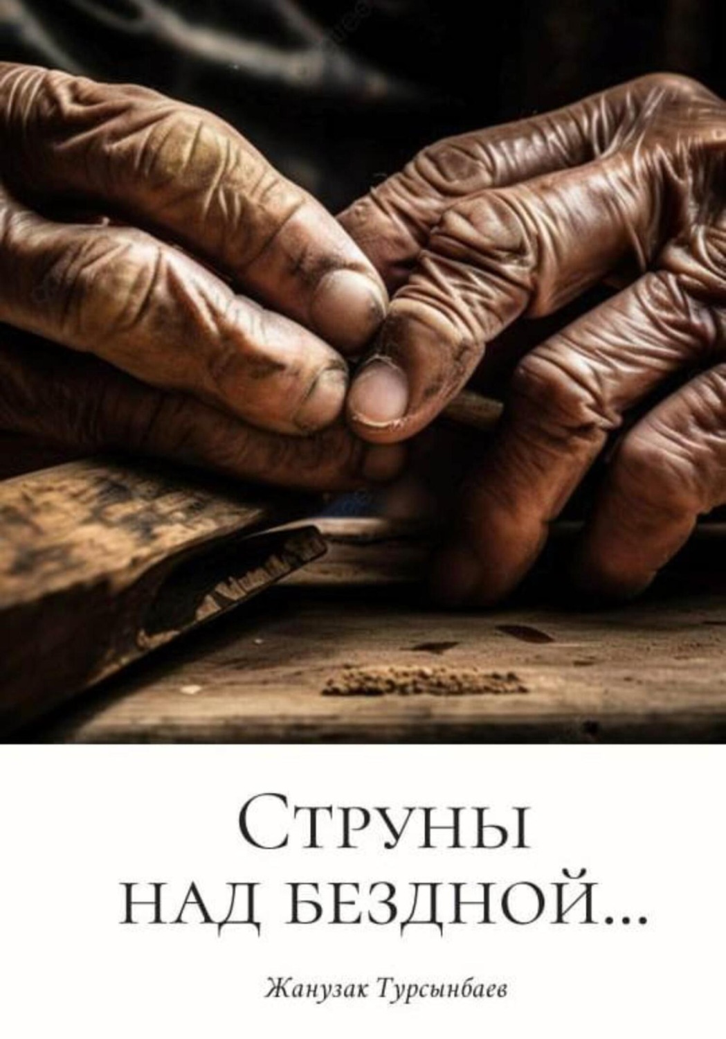 Обложка книги «Струны над бездной…»