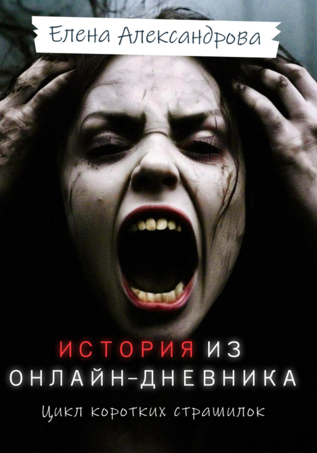 Обложка книги «История из онлайн-дневника»