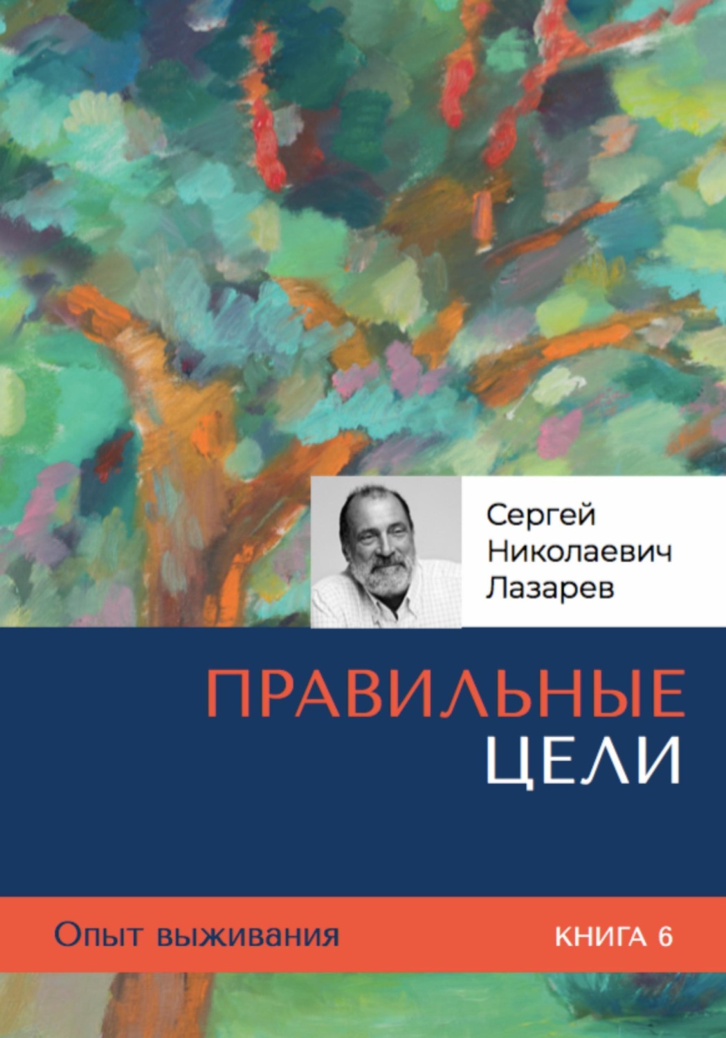 Обложка книги «Правильные цели. Опыт выживания. Часть 6.»
