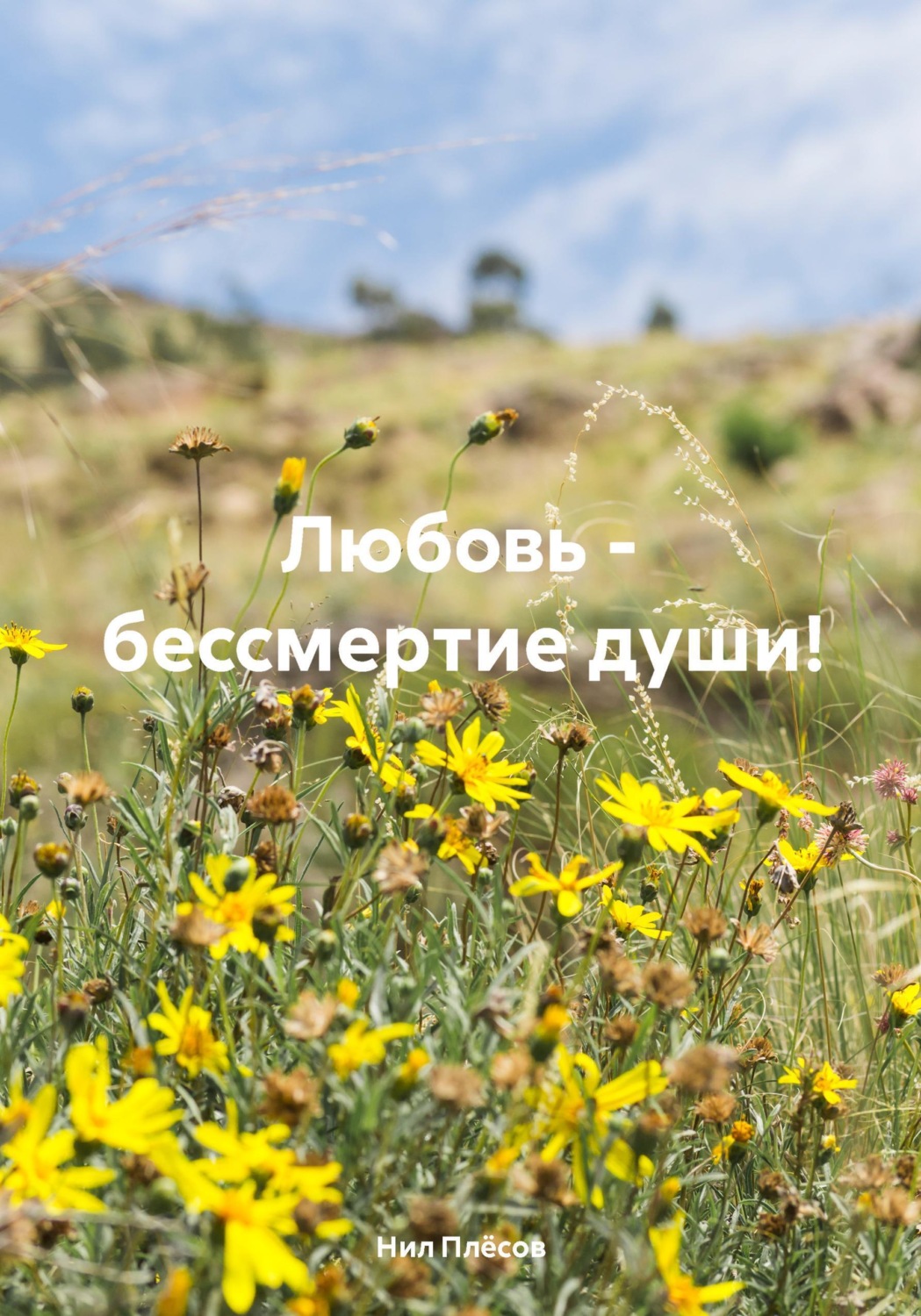 Обложка книги «Любовь - бессмертие души!»
