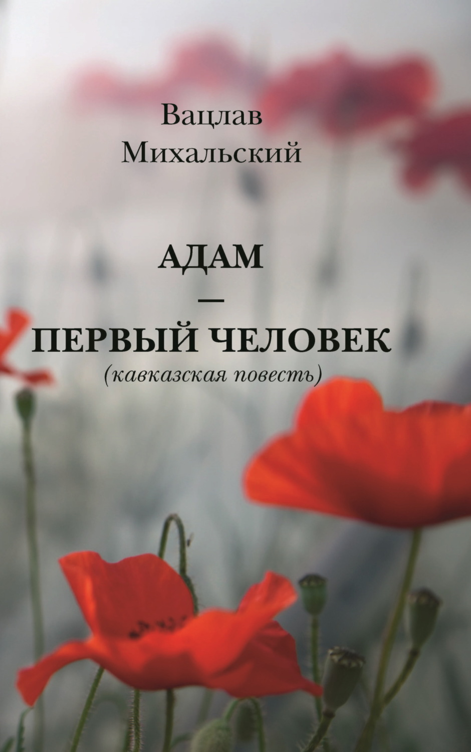 Обложка книги «Адам – первый человек»
