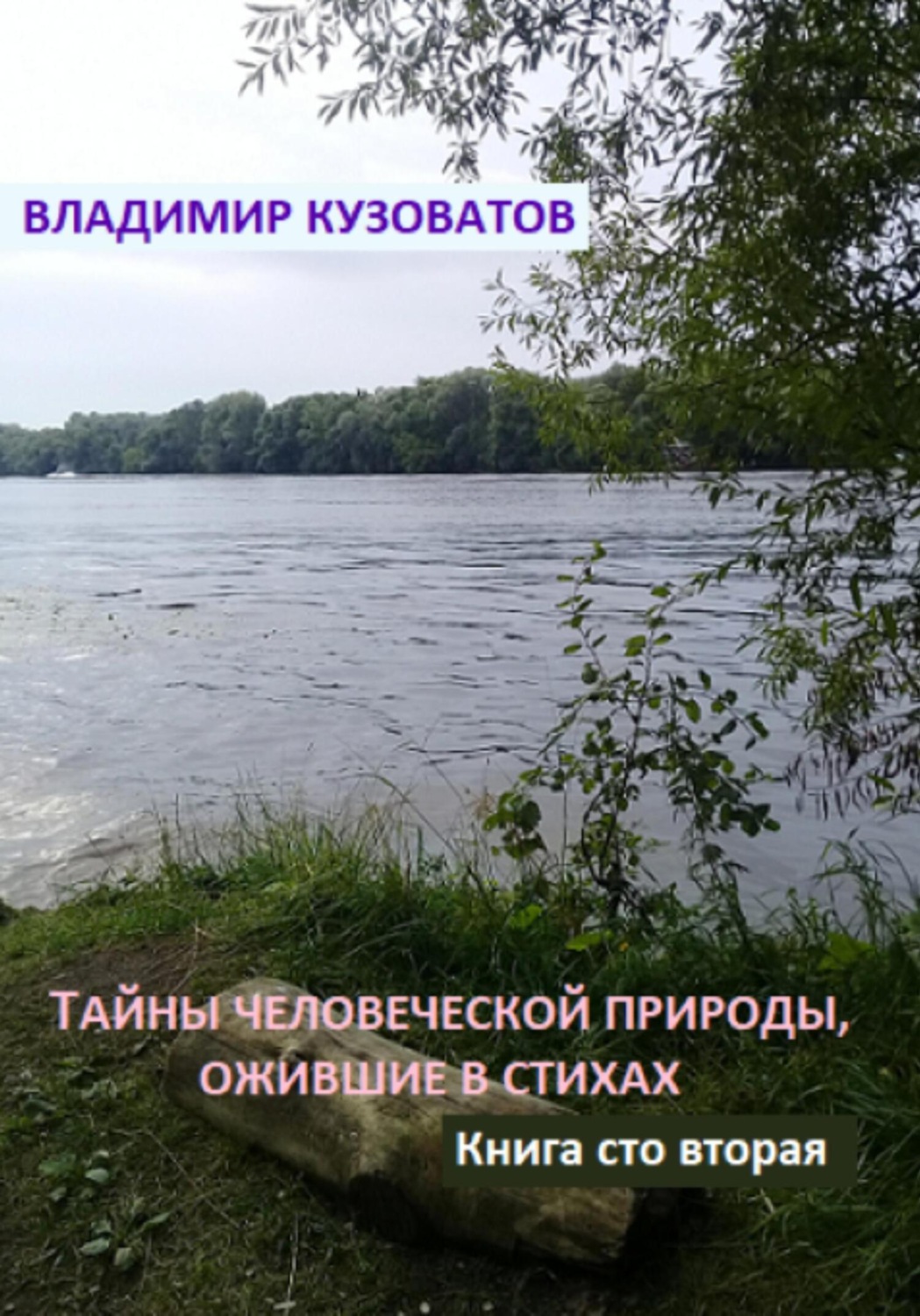 Обложка книги «Тайны человеческой природы, ожившие в стихах. Книга сто вторая»