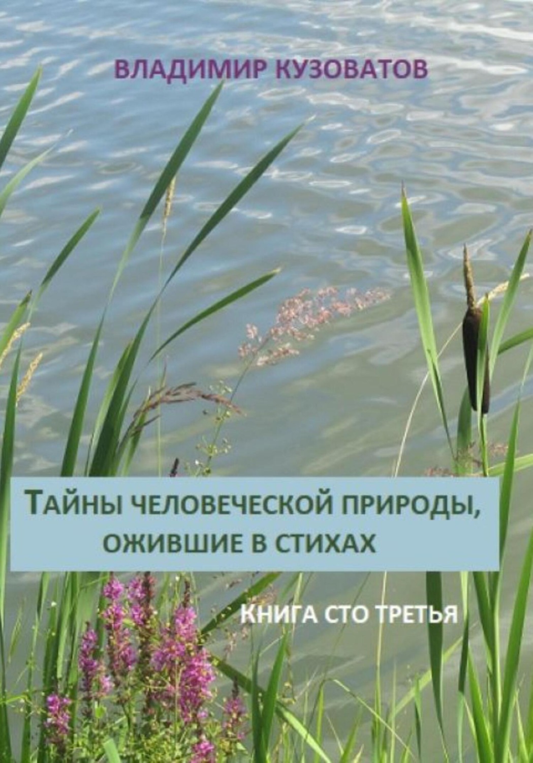 Обложка книги «Тайны человеческой природы, ожившие в стихах. Книга сто третья»