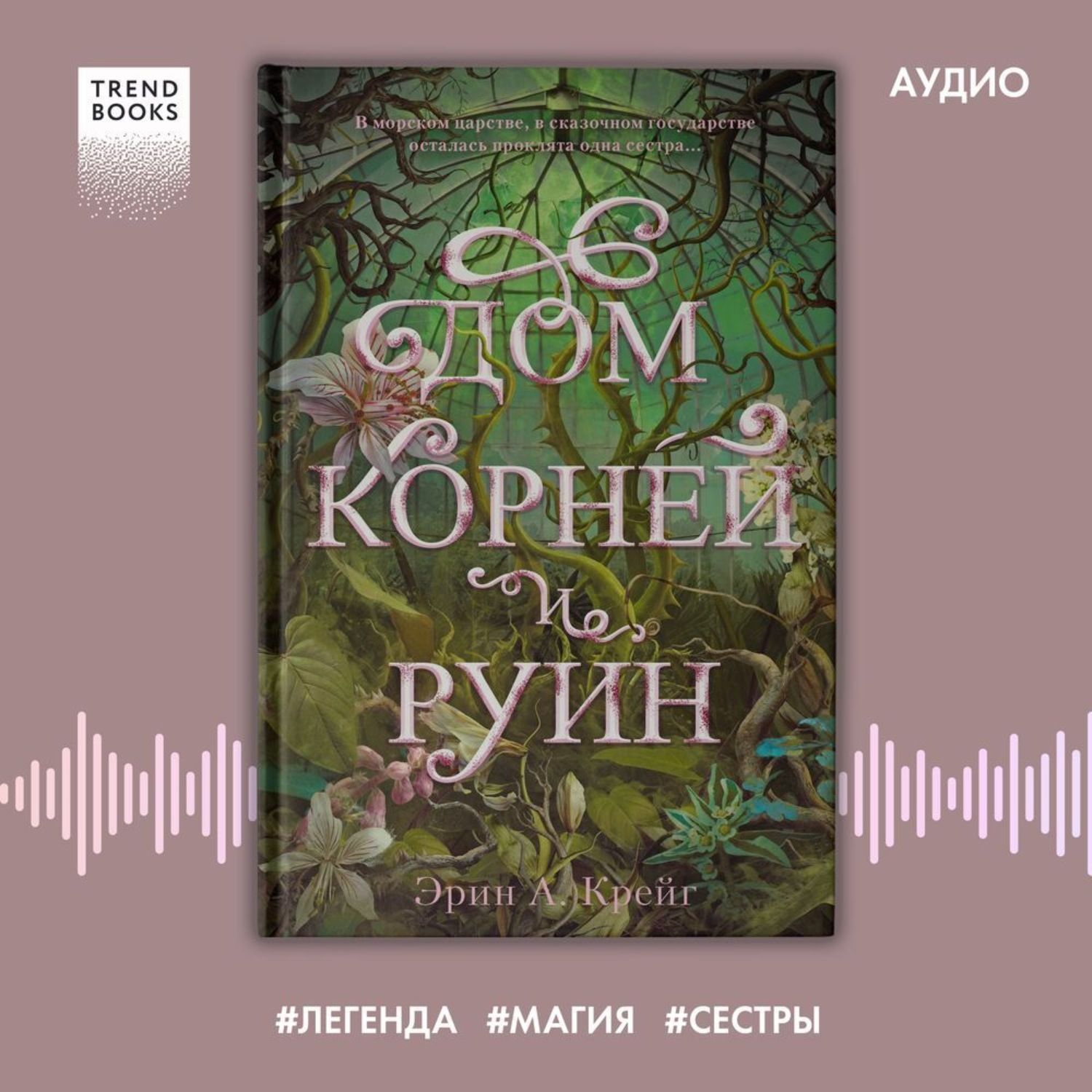 Обложка книги «Дом корней и руин»