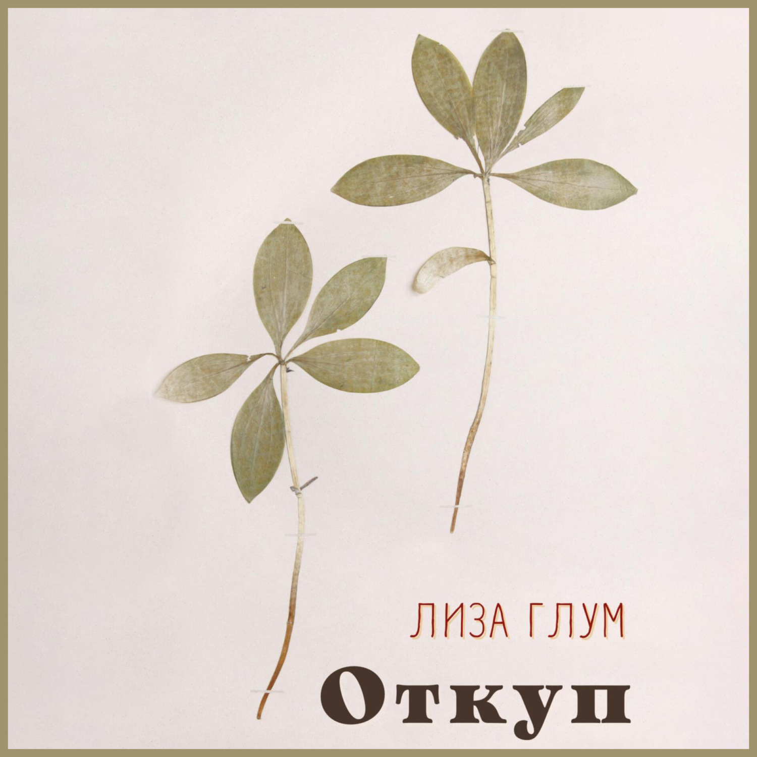 Обложка книги «Откуп»