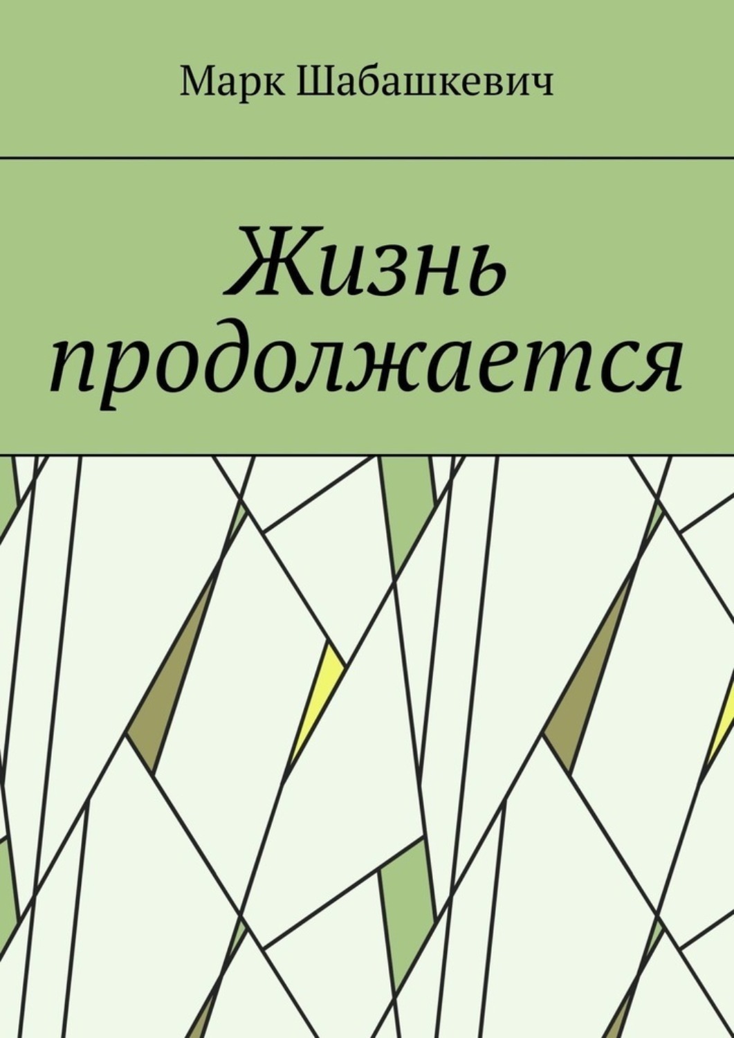 Обложка книги «Жизнь продолжается»