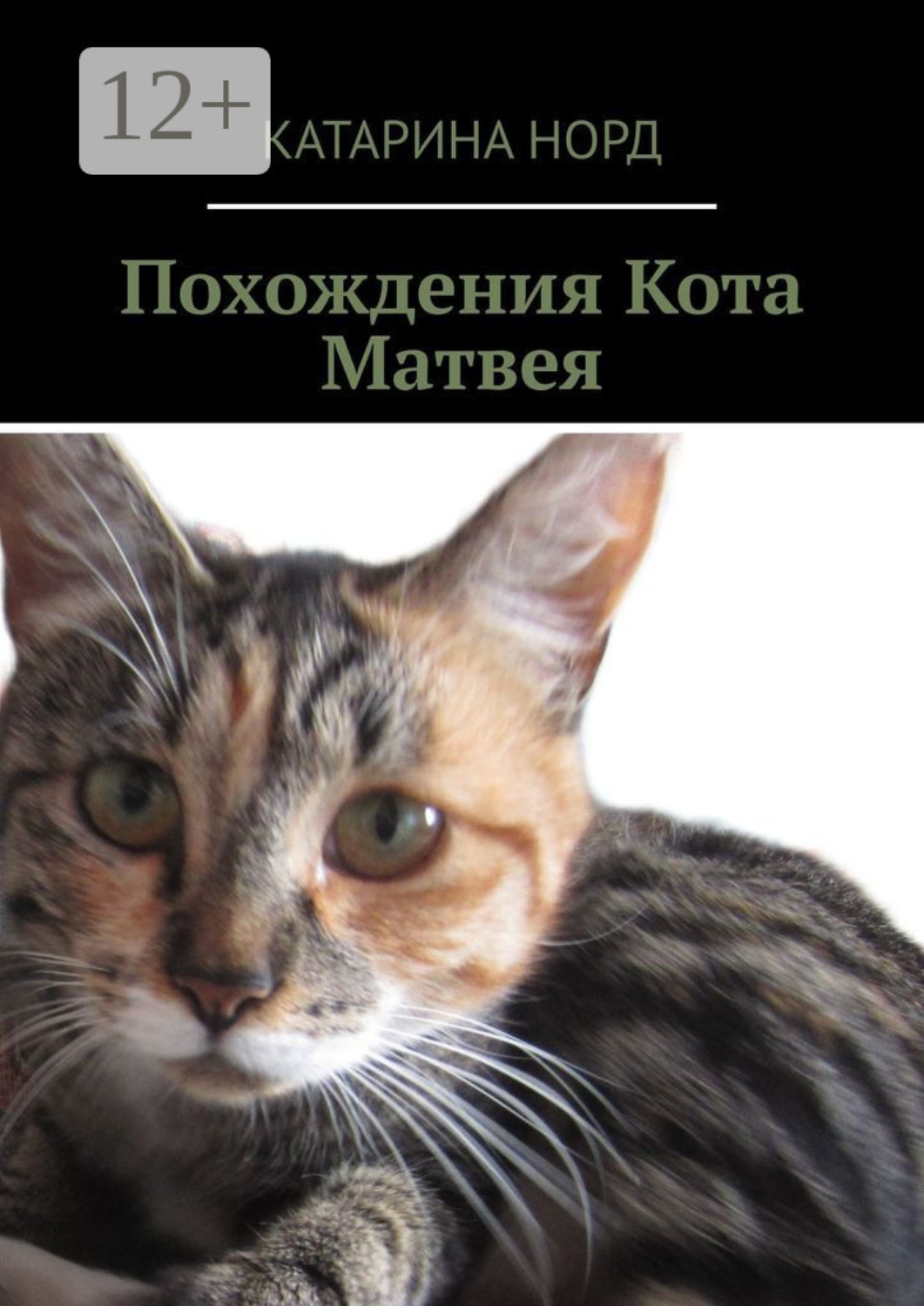 Обложка книги «Похождения кота Матвея»