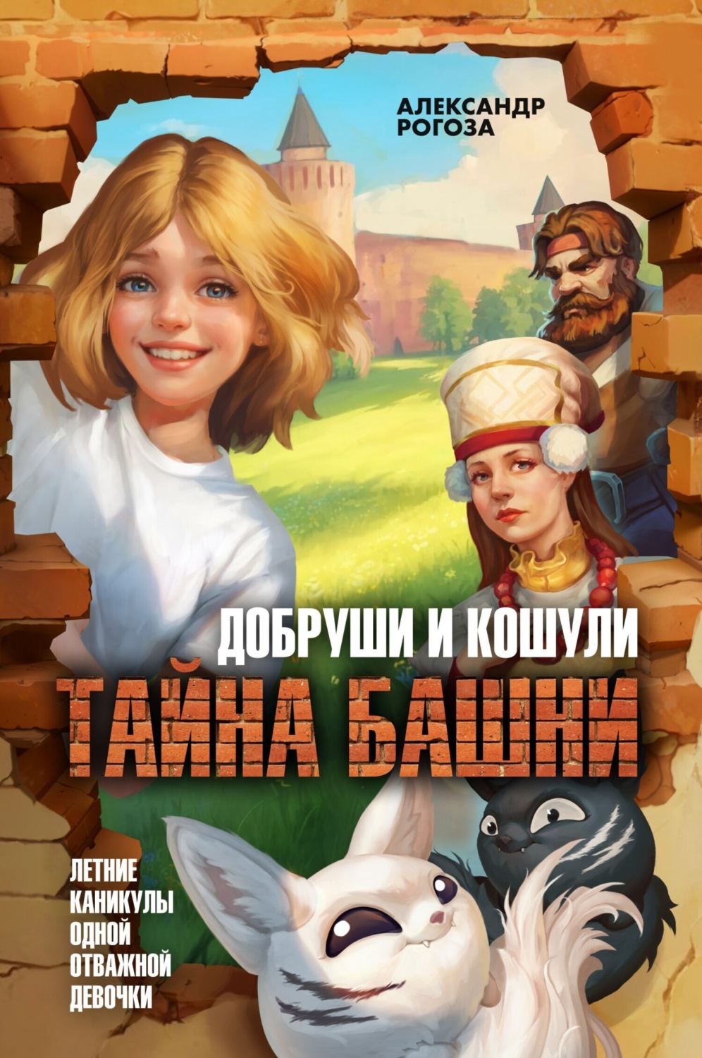 Обложка книги «Добруши и Кошули. Тайна башни»