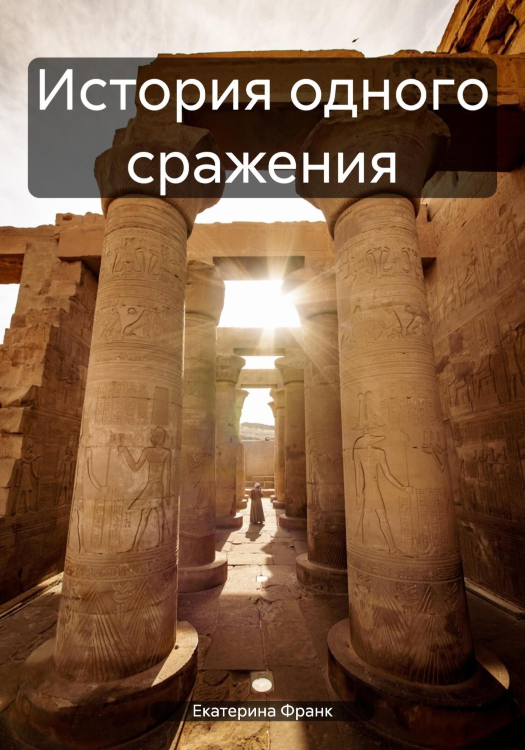 Обложка книги «История одного сражения»