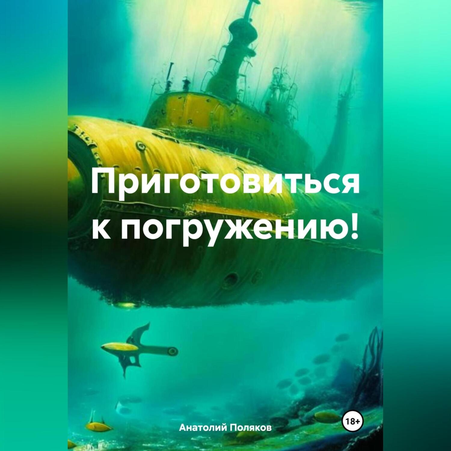 Обложка книги «Приготовиться к погружению!»