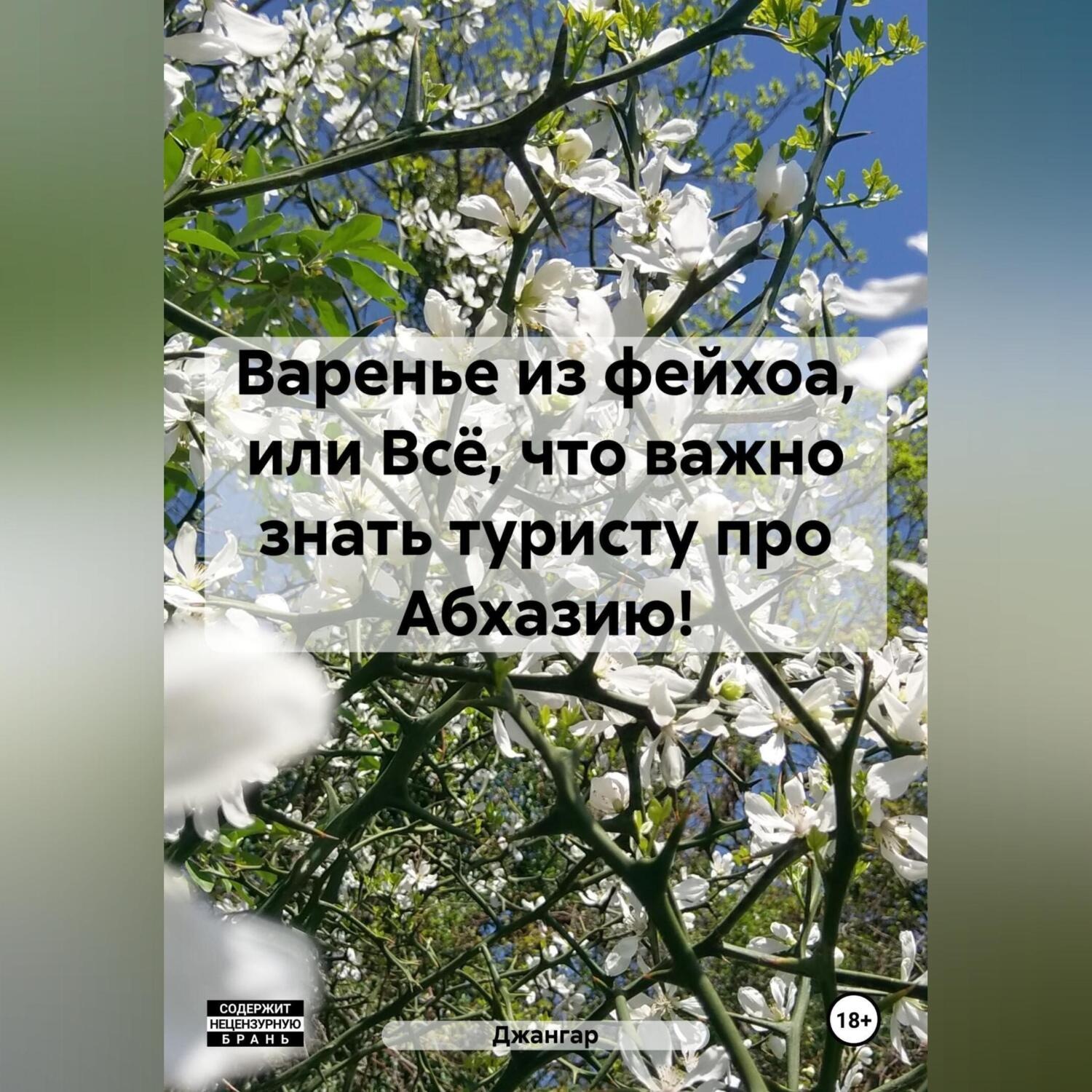 Обложка книги «Варенье из фейхоа, или Всё, что важно знать туристу про Абхазию!»