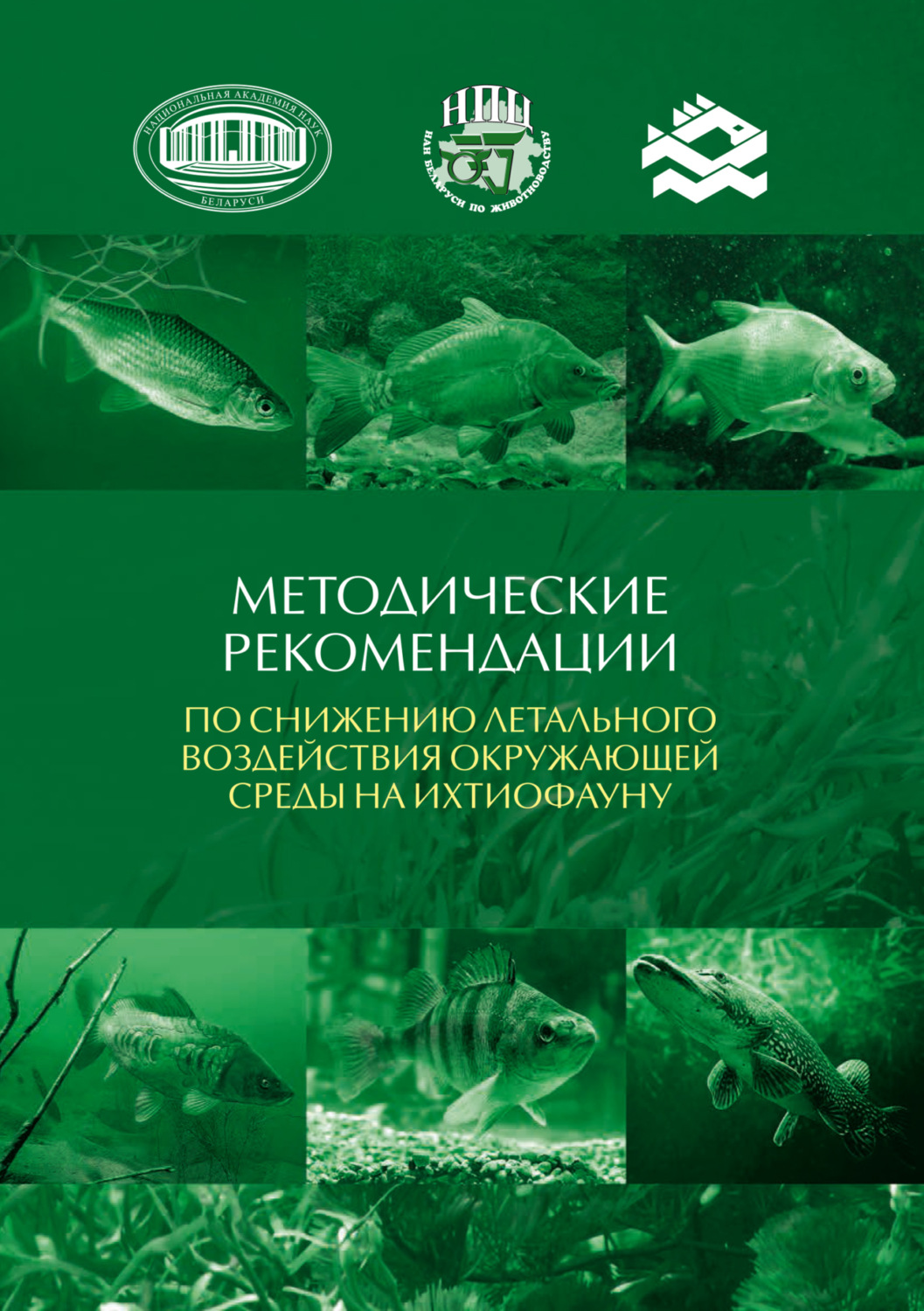 Обложка книги «Методические рекомендации по снижению летального воздействия окружающей среды на ихтиофауну»