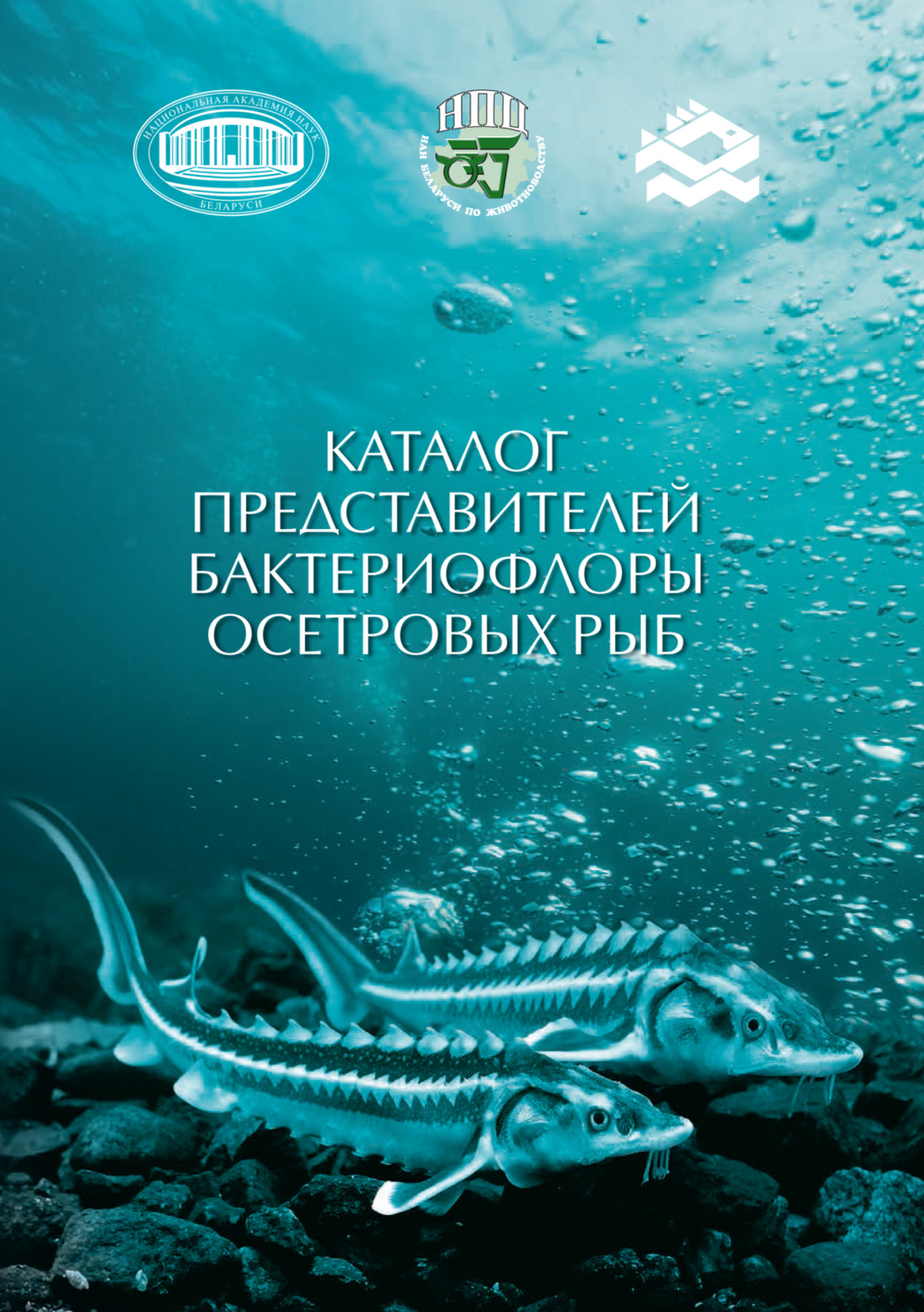 Обложка книги «Каталог представителей бактериофлоры осетровых рыб»