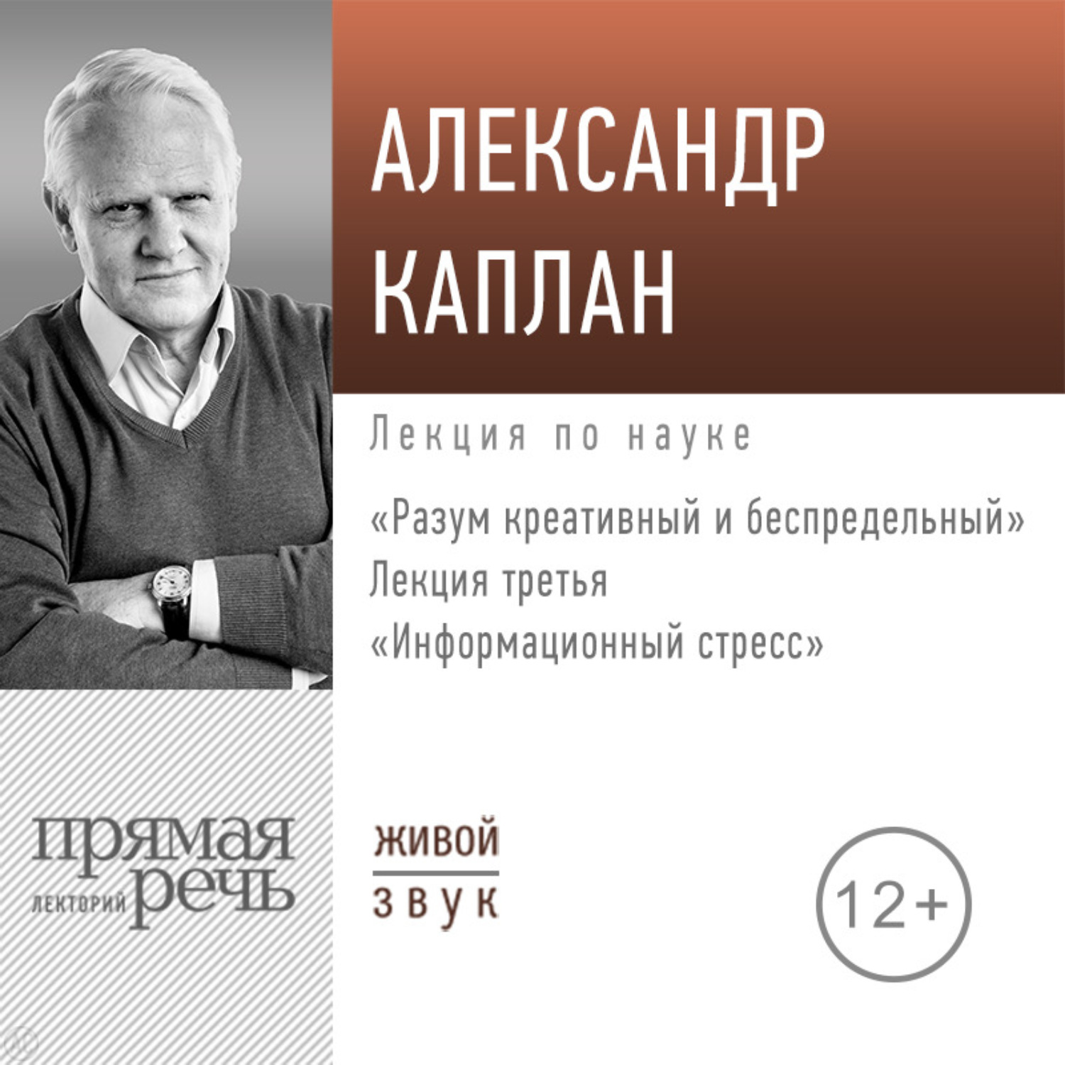 Обложка книги «Лекция «Информационный стресс»»