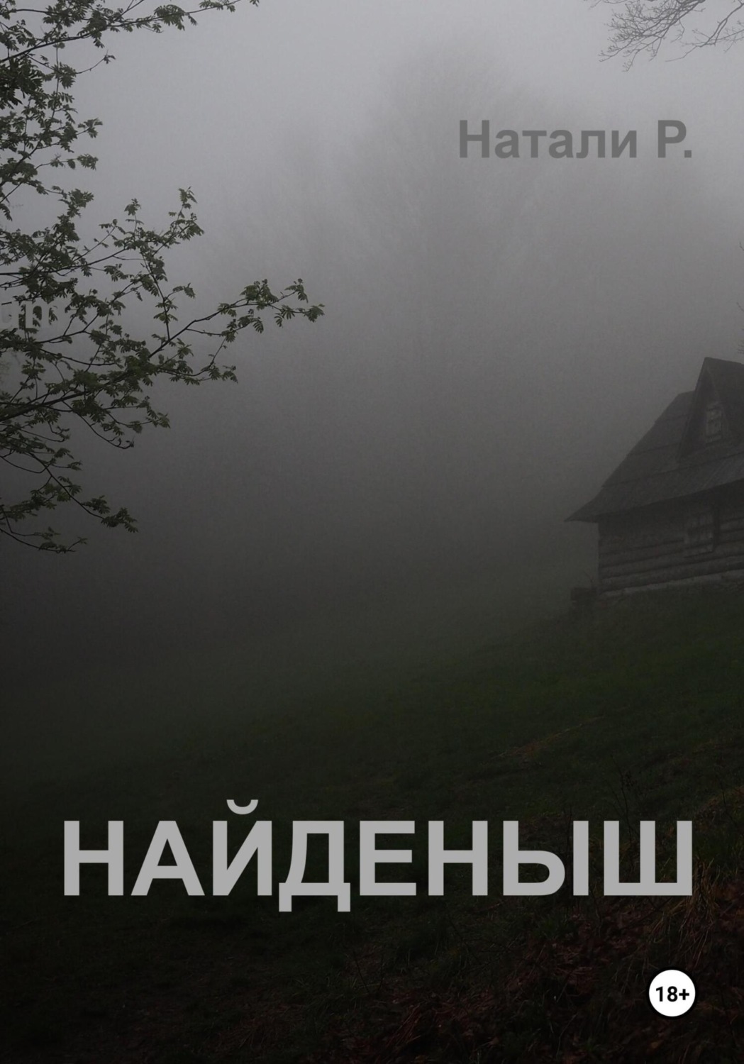 Обложка книги «Найденыш»