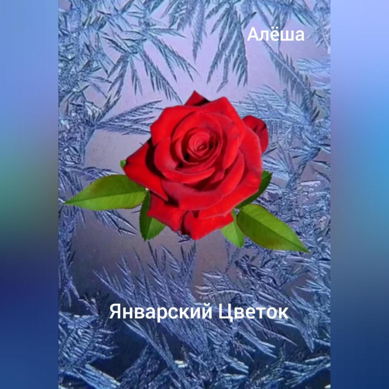 Обложка книги «Январский цветок»
