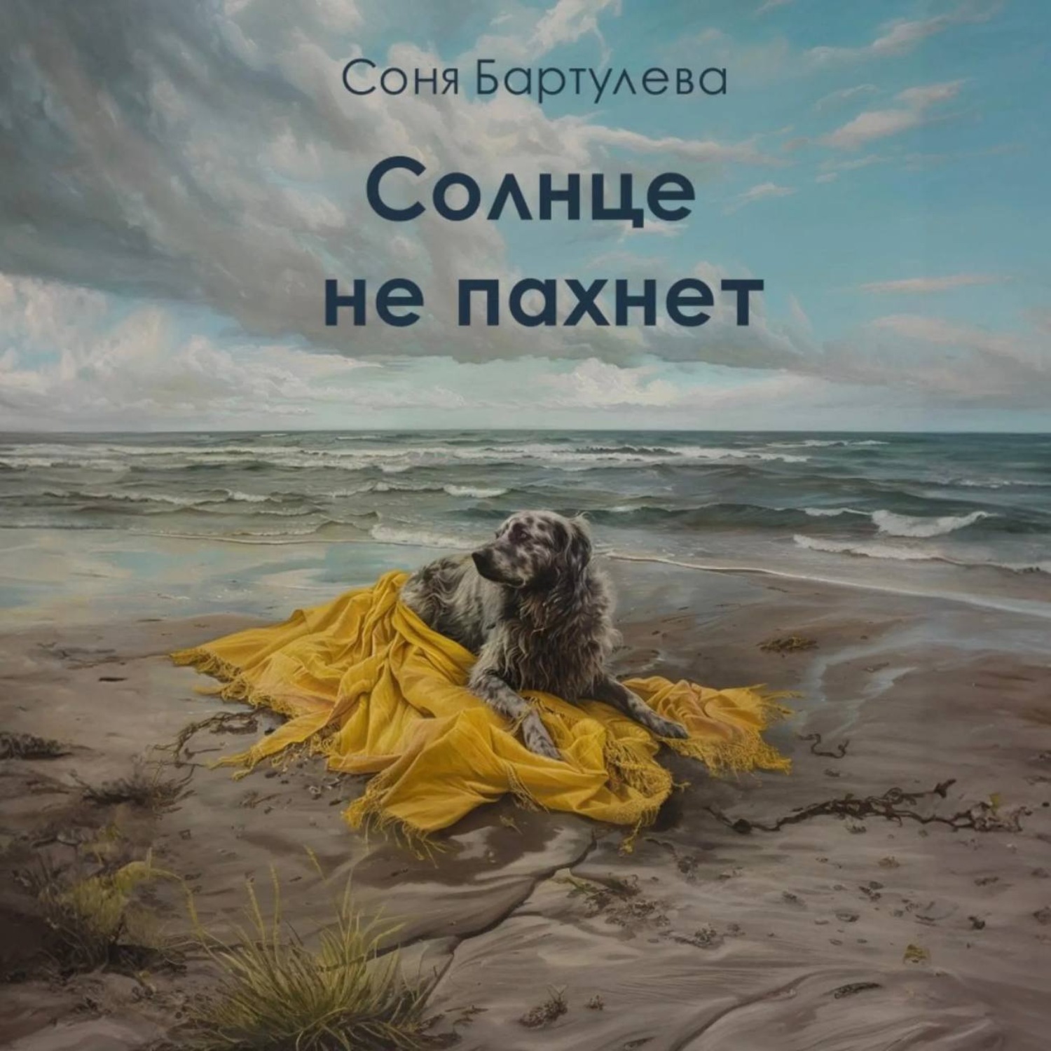 Обложка книги «Солнце не пахнет»