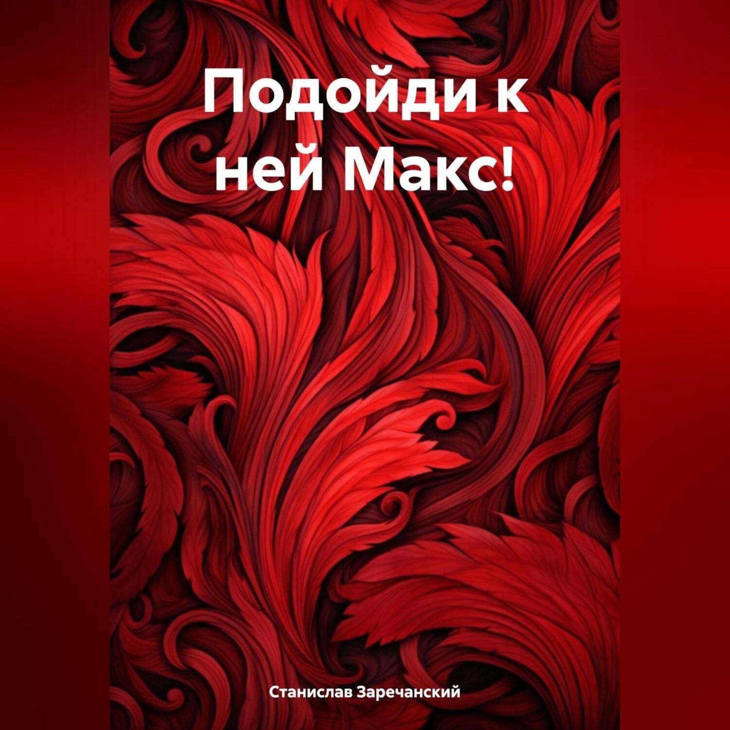 Обложка книги «Подойди к ней Макс!»