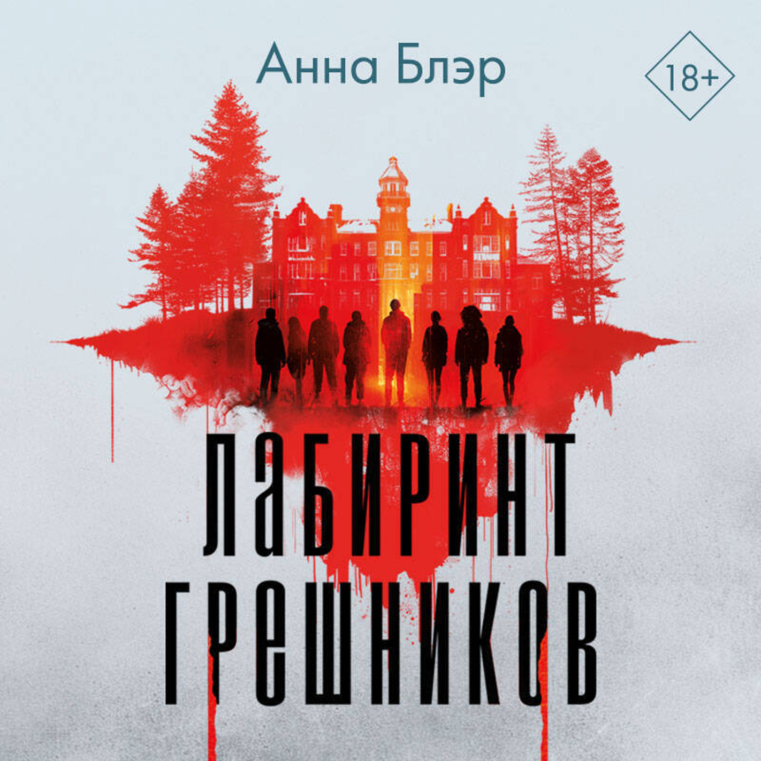 Обложка книги «Лабиринт грешников»
