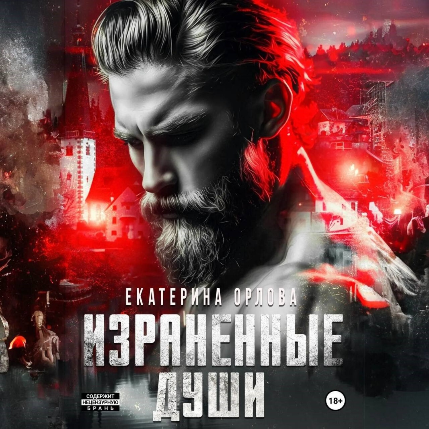 Обложка книги «Израненные души»