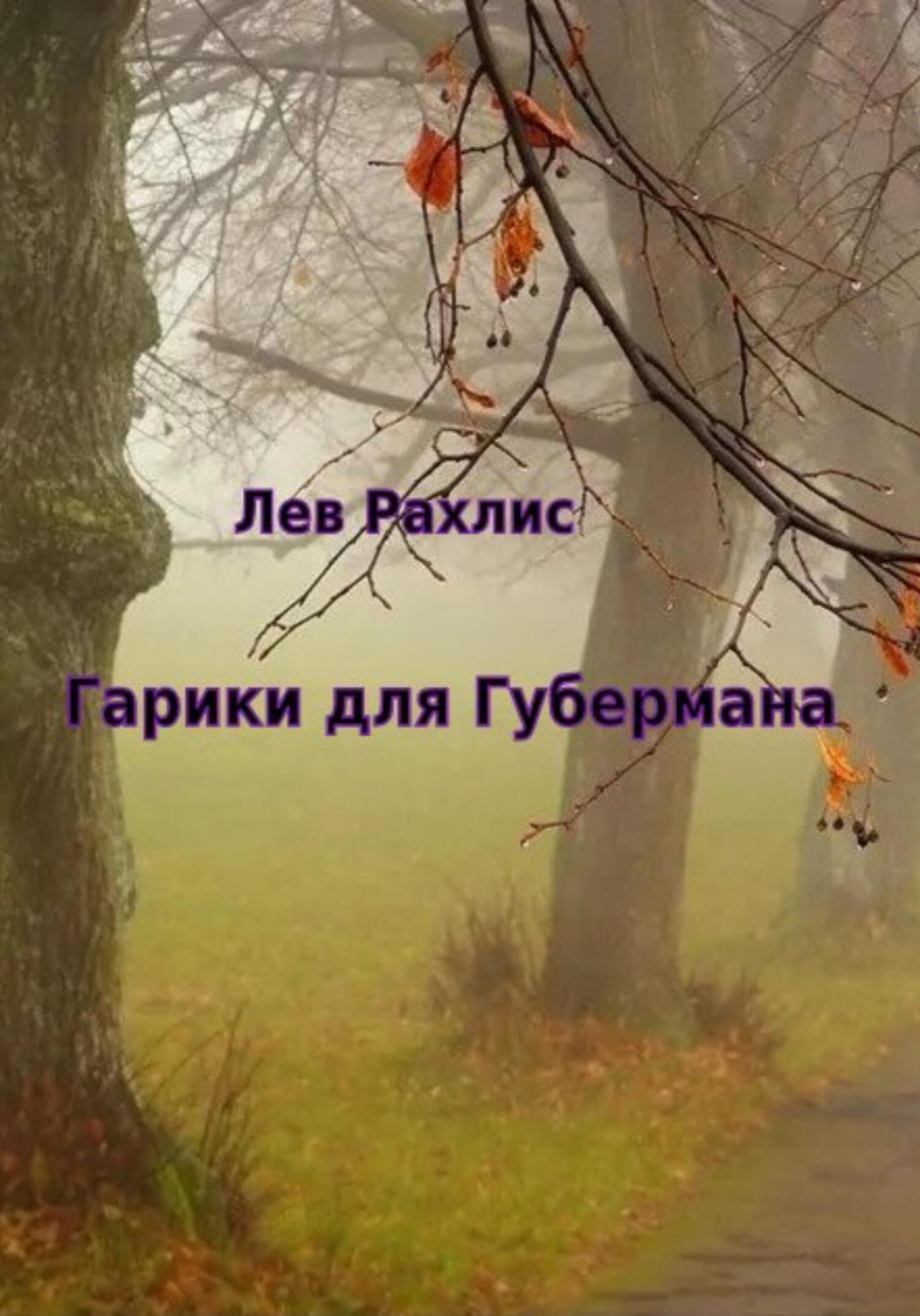 Обложка книги «Гарики для Губермана»