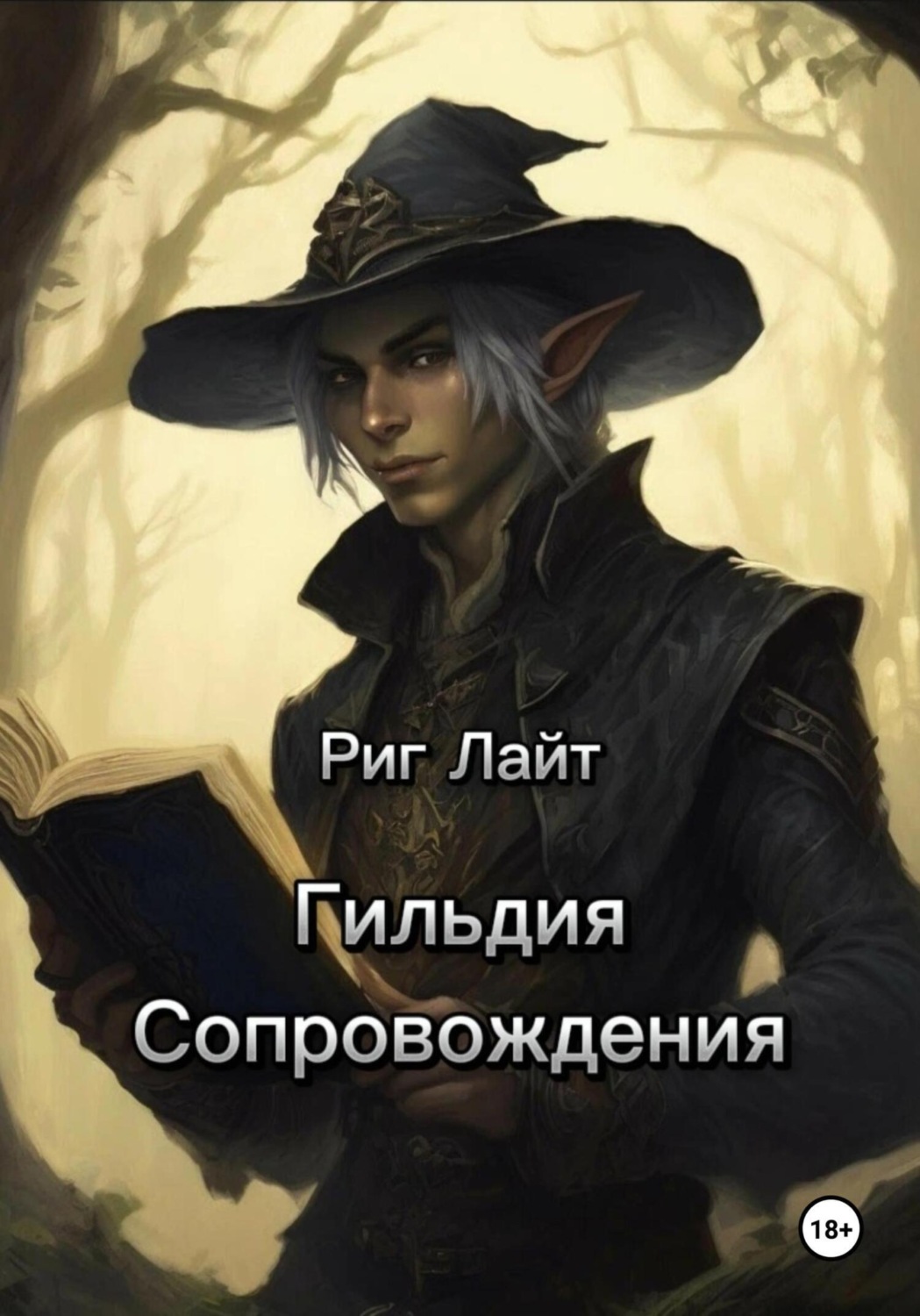 Обложка книги «Гильдия Сопровождения. Том I. Начало»