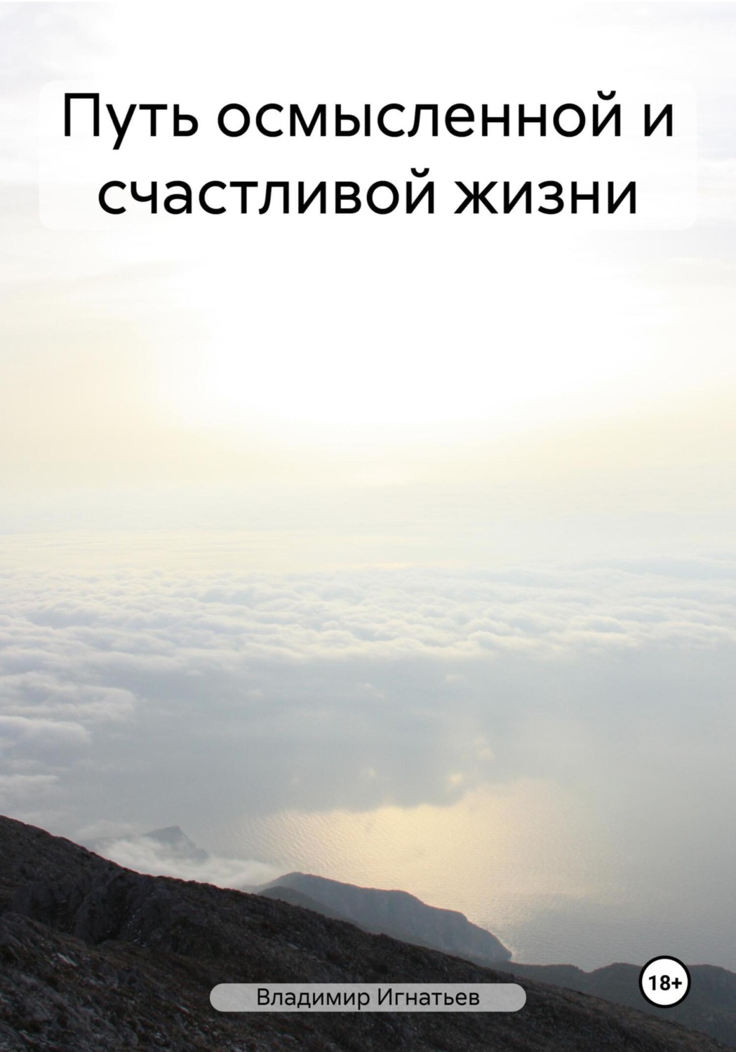 Обложка книги «Путь осмысленной и счастливой жизни»