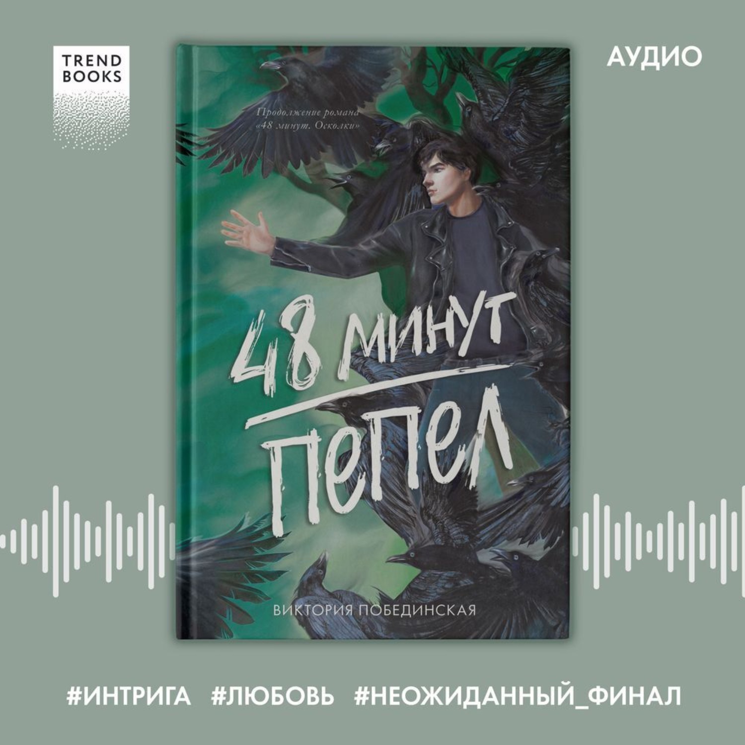Обложка книги «48 минут. Пепел»
