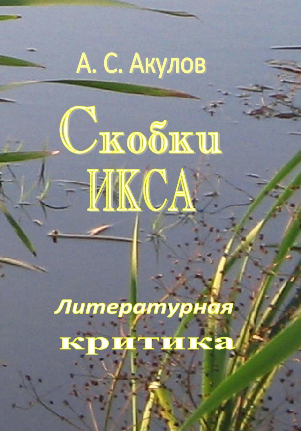 Обложка книги «Скобки икса. Литературная критика»