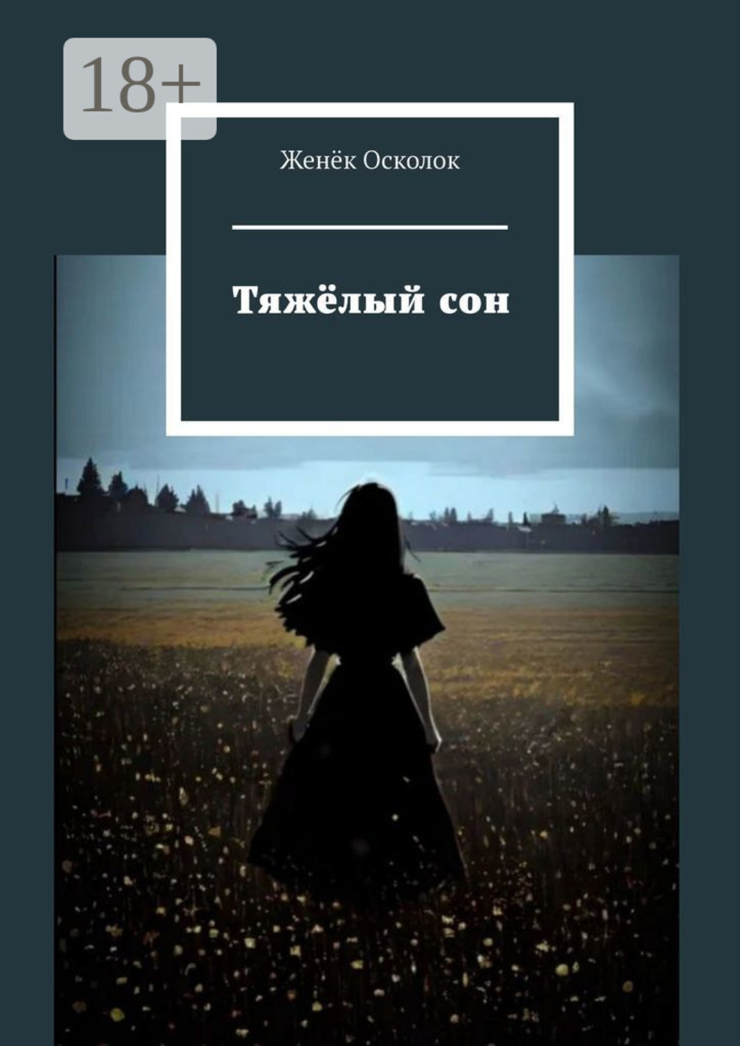 Обложка книги «Тяжёлый сон»