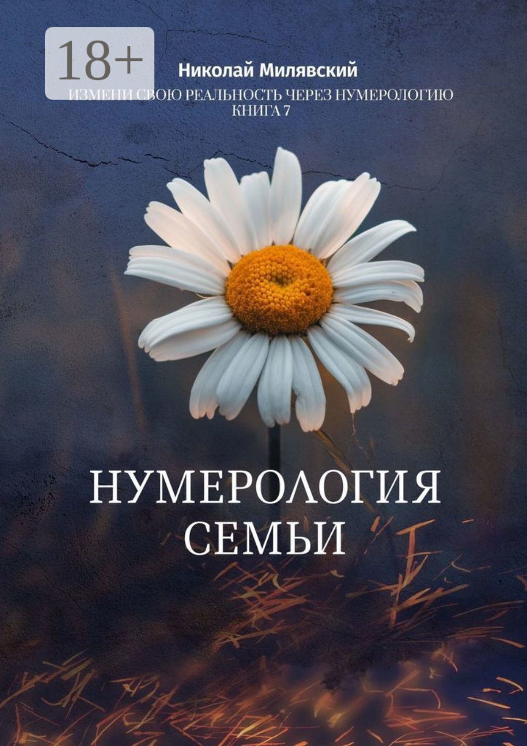 Обложка книги «Нумерология семьи. Измени свою реальность через нумерологию. Книга 7»