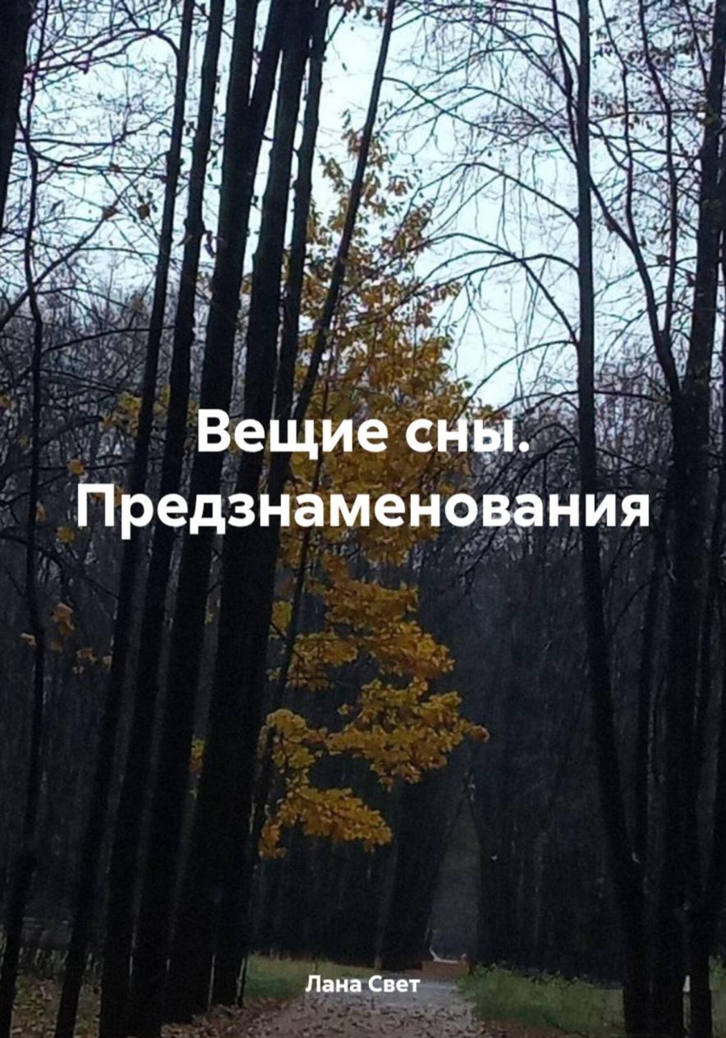 Обложка книги «Вещие сны. Предзнаменования»